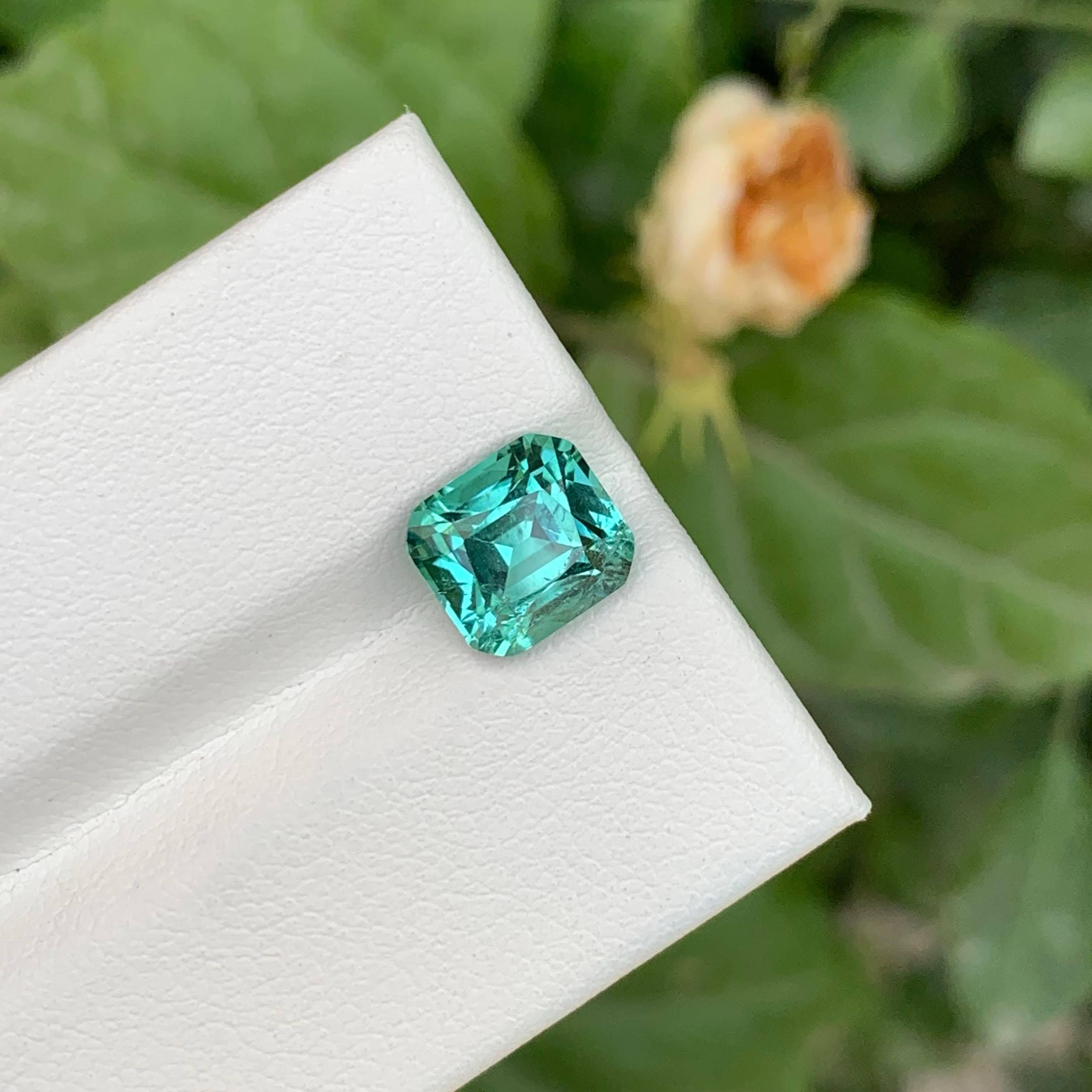 2.70 Carat Seafoam Tourmaline Stone Cushion Cut Natural Afghan Gemstone (pierre précieuse afghane) en vente 2