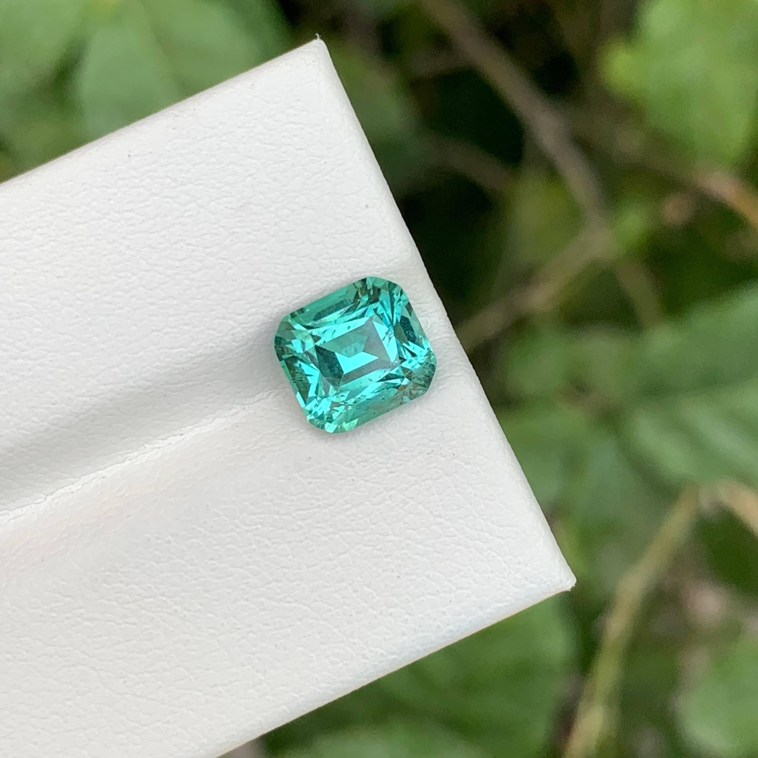 2.70 Carat Seafoam Tourmaline Stone Cushion Cut Natural Afghan Gemstone (pierre précieuse afghane) en vente 3