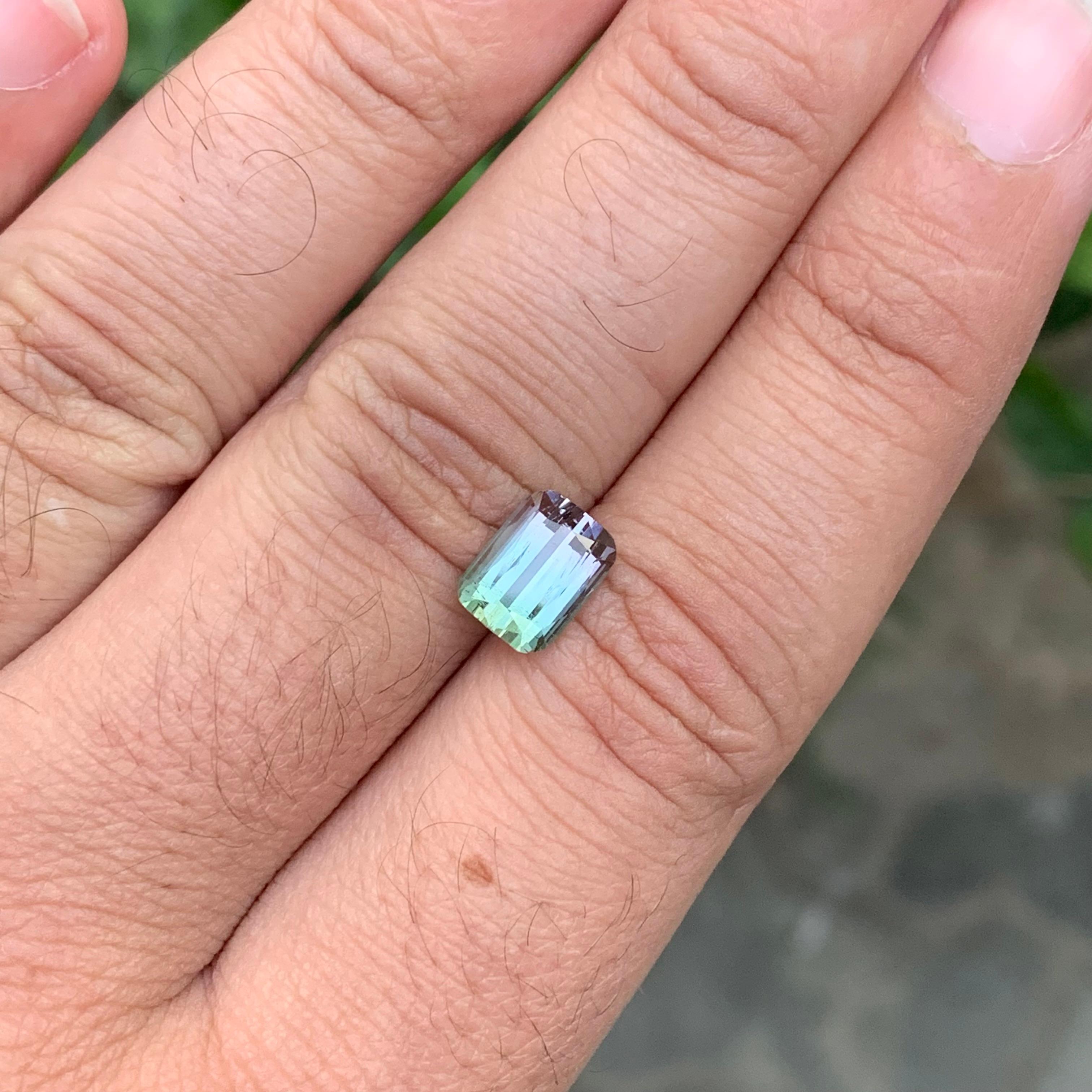2.70 Carat Natural Loose Bi Colour Tourmaline Cushion Shape Gemstone (pierre précieuse en forme de coussin) en vente 5