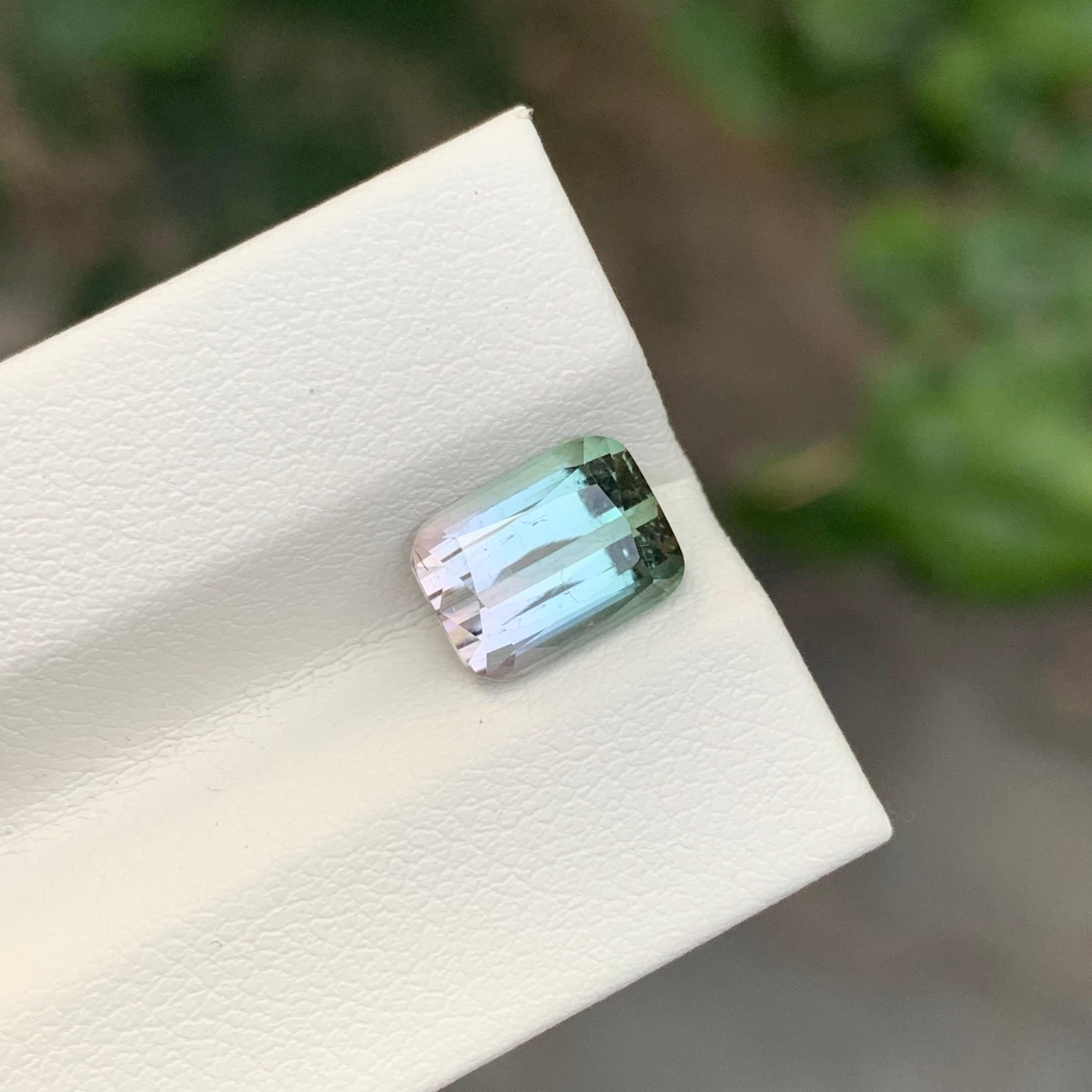 Tourmaline bicolore facettée 

Poids : 2,70 carats
Dimension : 8,8 x 6,6 x 5,3 mm
Couleur : Rose clair et vert clair 
Traitement : Non
Certificat : Sur demande du client
Forme : Coussin


La tourmaline est une pierre précieuse captivante connue pour
