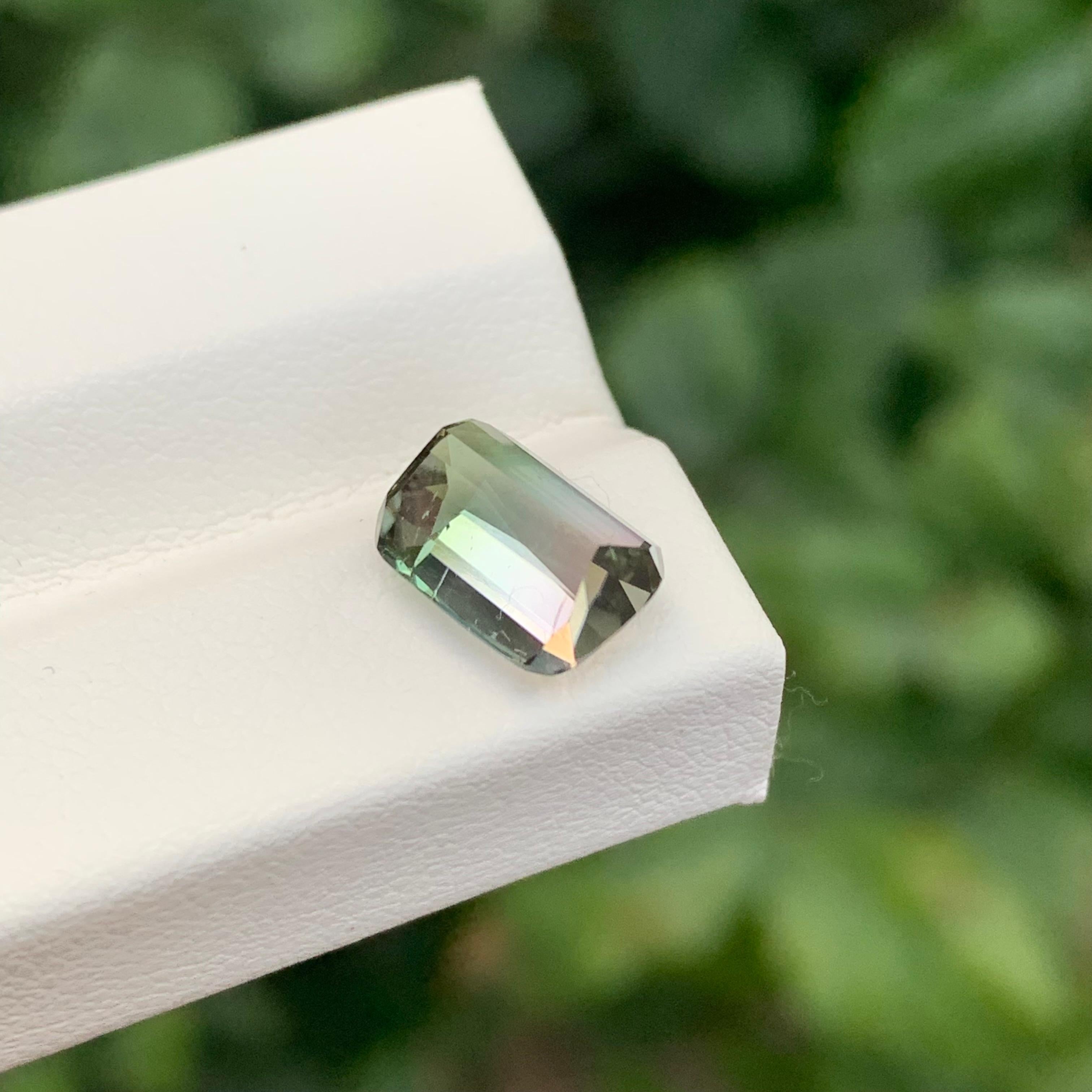2.70 Carat Natural Loose Bi Colour Tourmaline Cushion Shape Gemstone (pierre précieuse en forme de coussin) en vente 2