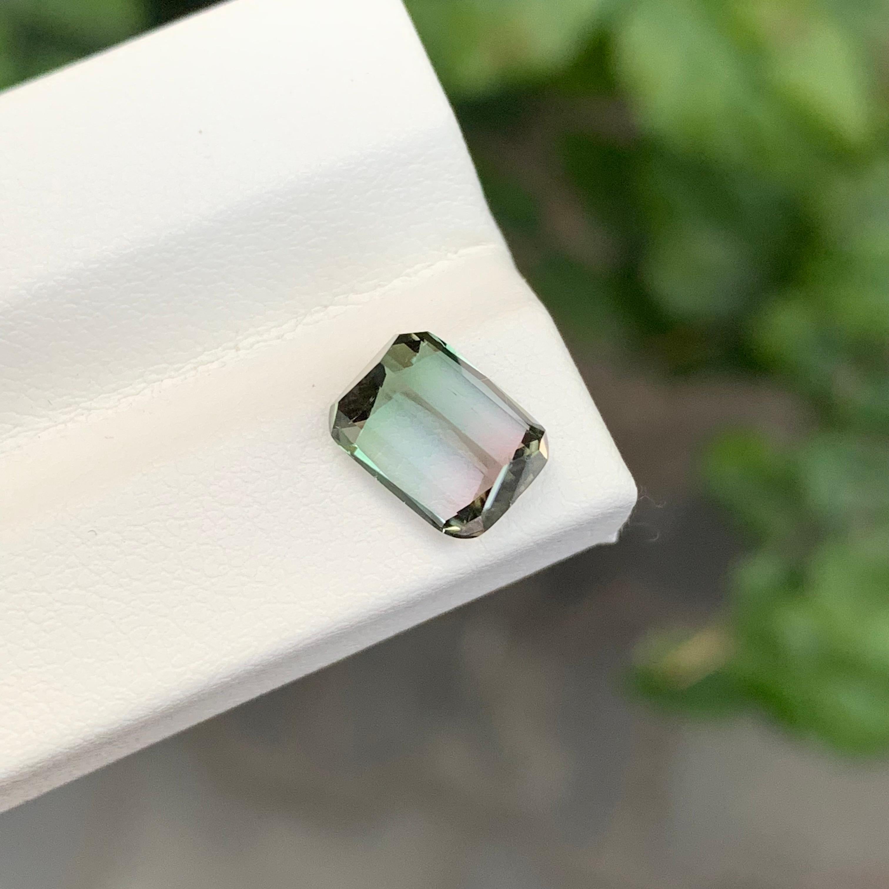2.70 Carat Natural Loose Bi Colour Tourmaline Cushion Shape Gemstone (pierre précieuse en forme de coussin) en vente 3
