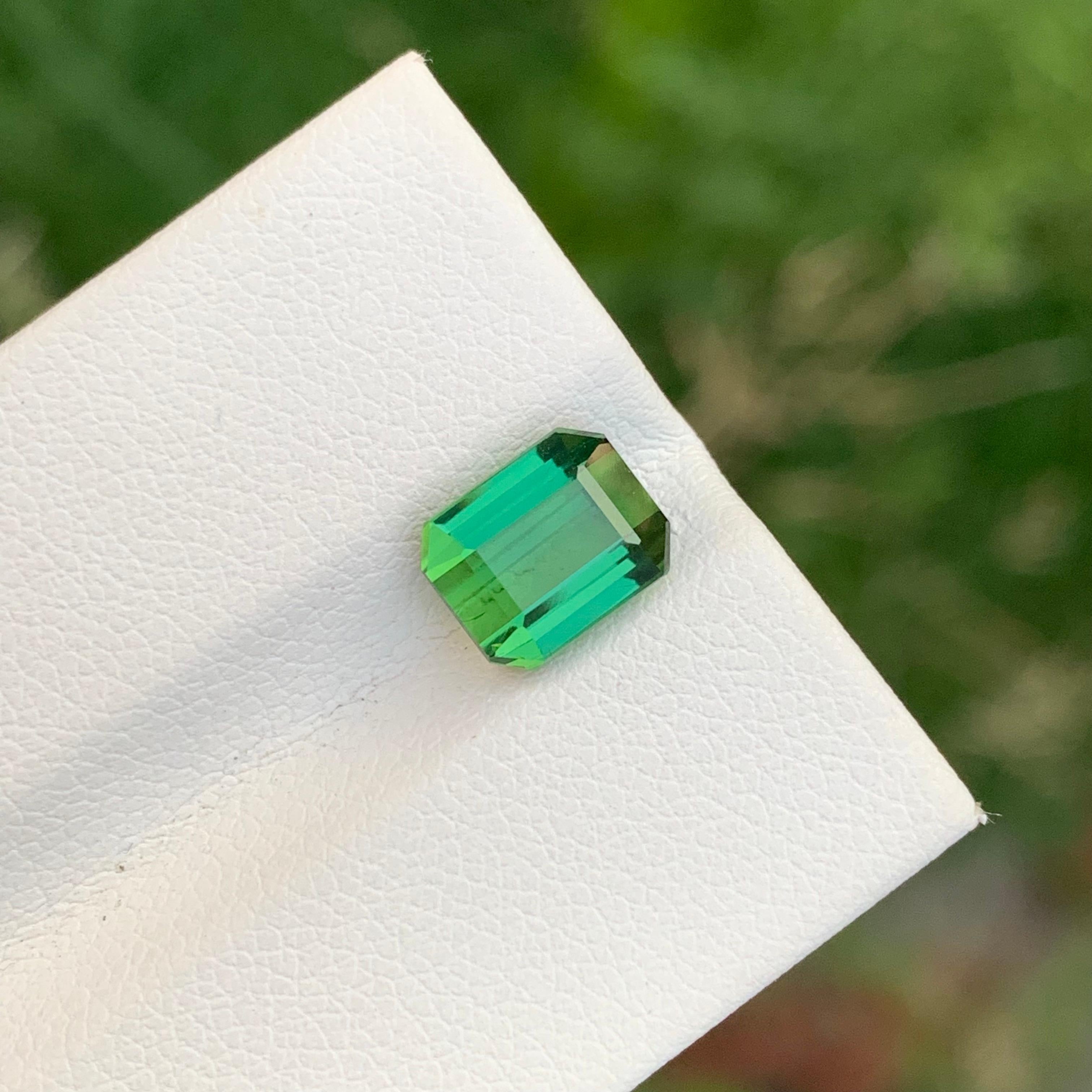 2,70 Karat natürlicher loser hellgrüner Turmalin Smaragd Form Edelstein für Ring (Arts and Crafts) im Angebot