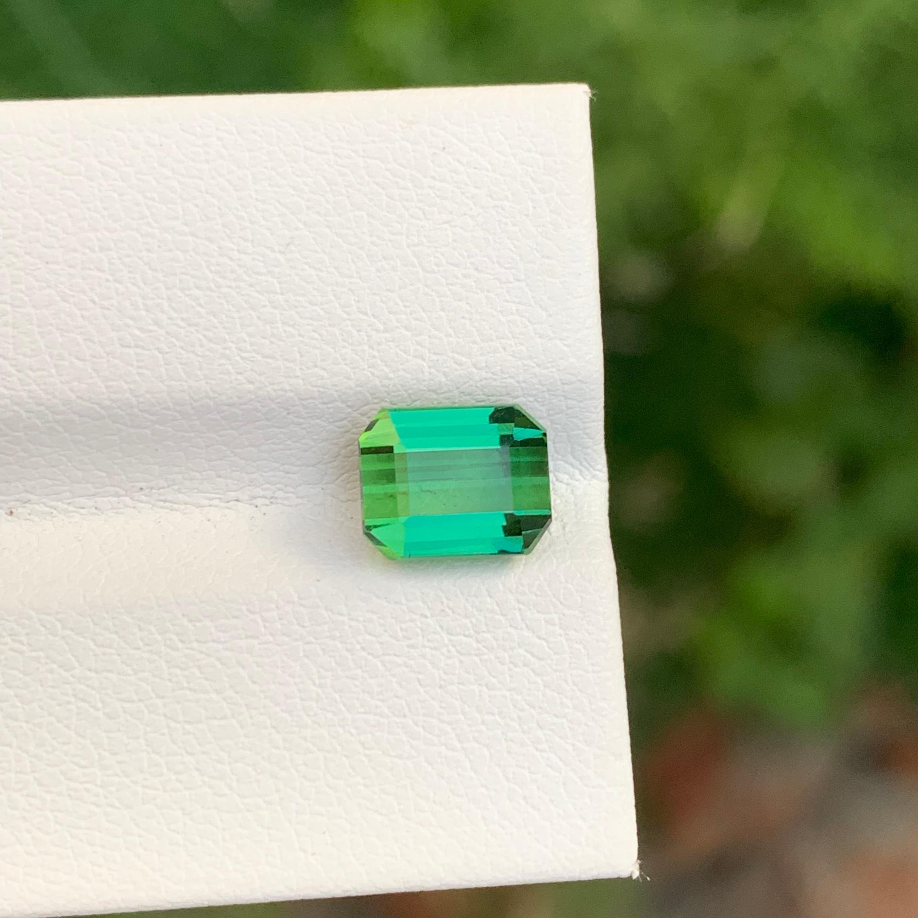 2,70 Karat natürlicher loser hellgrüner Turmalin Smaragd Form Edelstein für Ring im Angebot 2