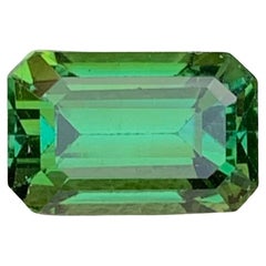 2.70 Carat Natural Loose Green Tourmaline Emerald Shape Gem For Necklace