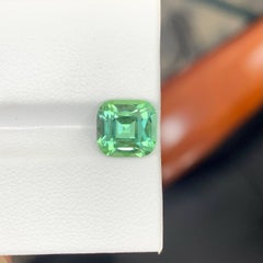 2.70 Karat Natürlicher loser Lagunengrüner Turmalin Cushion-Schliff Afghanischer Edelstein