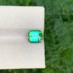 2.70 Karat Natürlicher loser hellgrüner Turmalin Cushion-Schliff Afghanischer Edelstein
