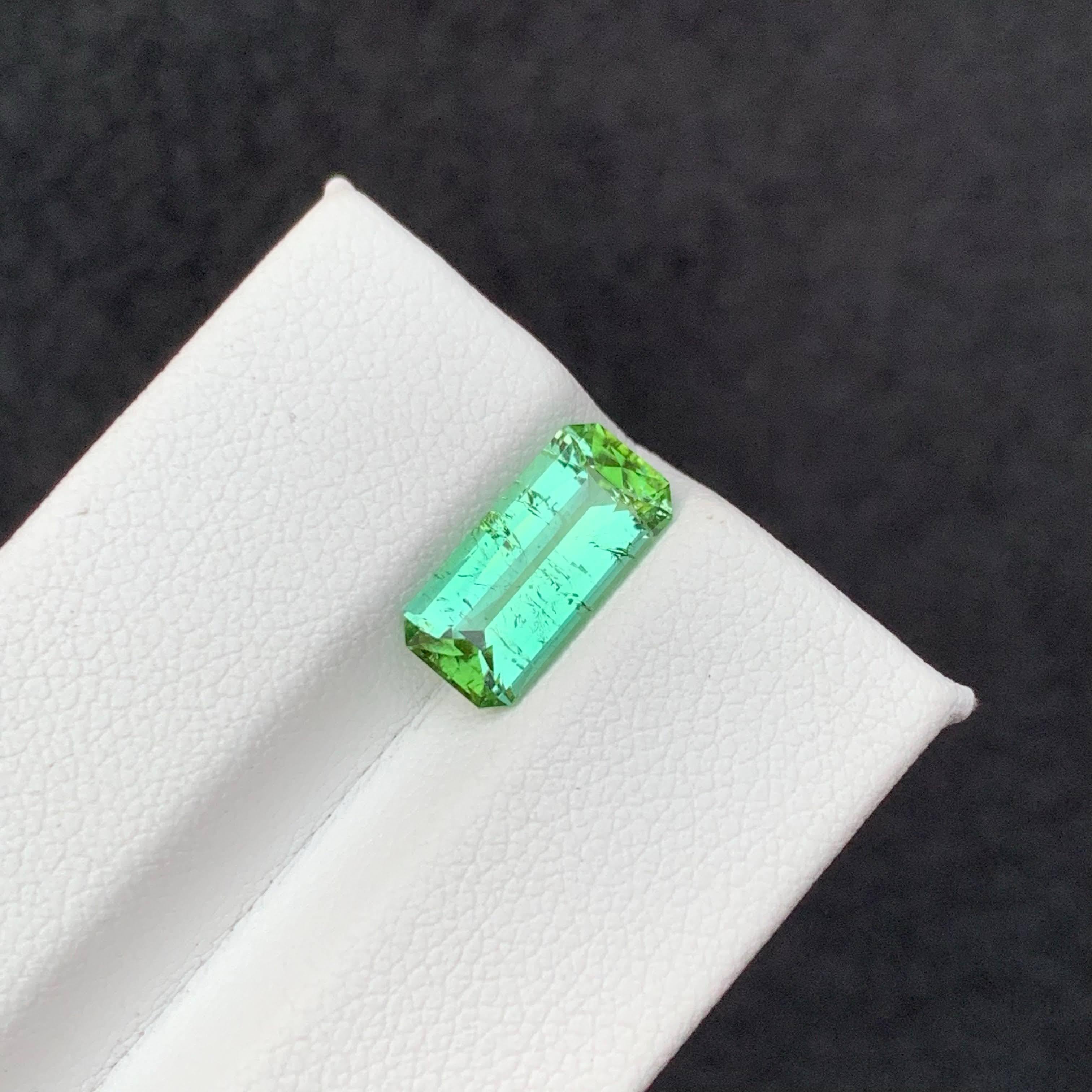 2.70 Carat Natural Loose Mint Green Tourmaline Fancy Cushion Cut Afghan Gemstone (pierre précieuse afghane) en vente 4