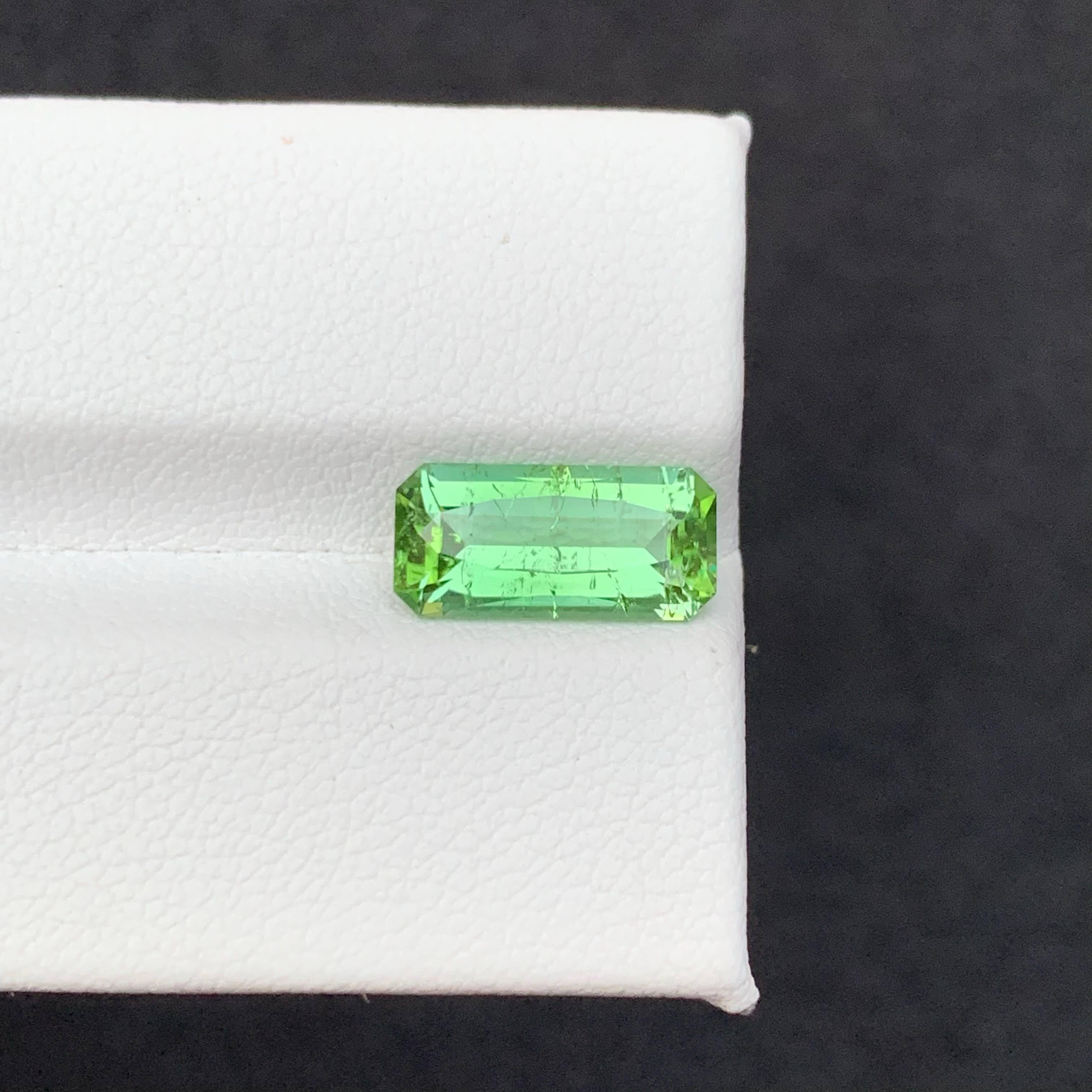 2.70 Carat Natural Loose Mint Green Tourmaline Fancy Cushion Cut Afghan Gemstone (pierre précieuse afghane) en vente 1