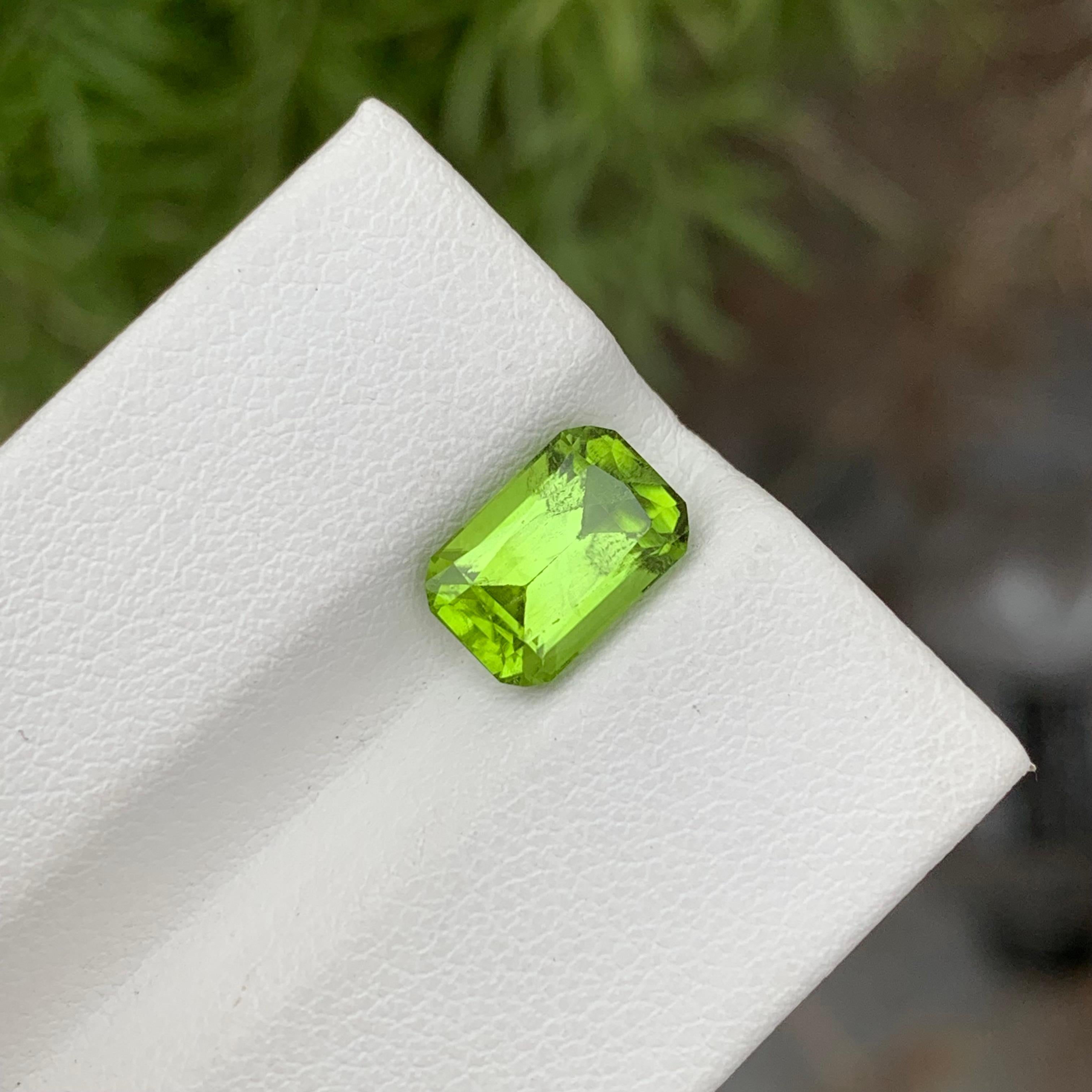 Loose Peridot
Weight: 2.70 Carats
Dimension: 9.3 x 6.2 x 5.2 Mm
Colour: Green
Origin: Supat Valley, Pakistan
Shape: Cushion
Certificate: On Demand
Treatment: Non

Peridot, a vibrant and lustrous gemstone, has been cherished for centuries for its