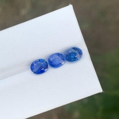 2.70 Carat Natural Loose Sapphire Lot For Jewellery Making