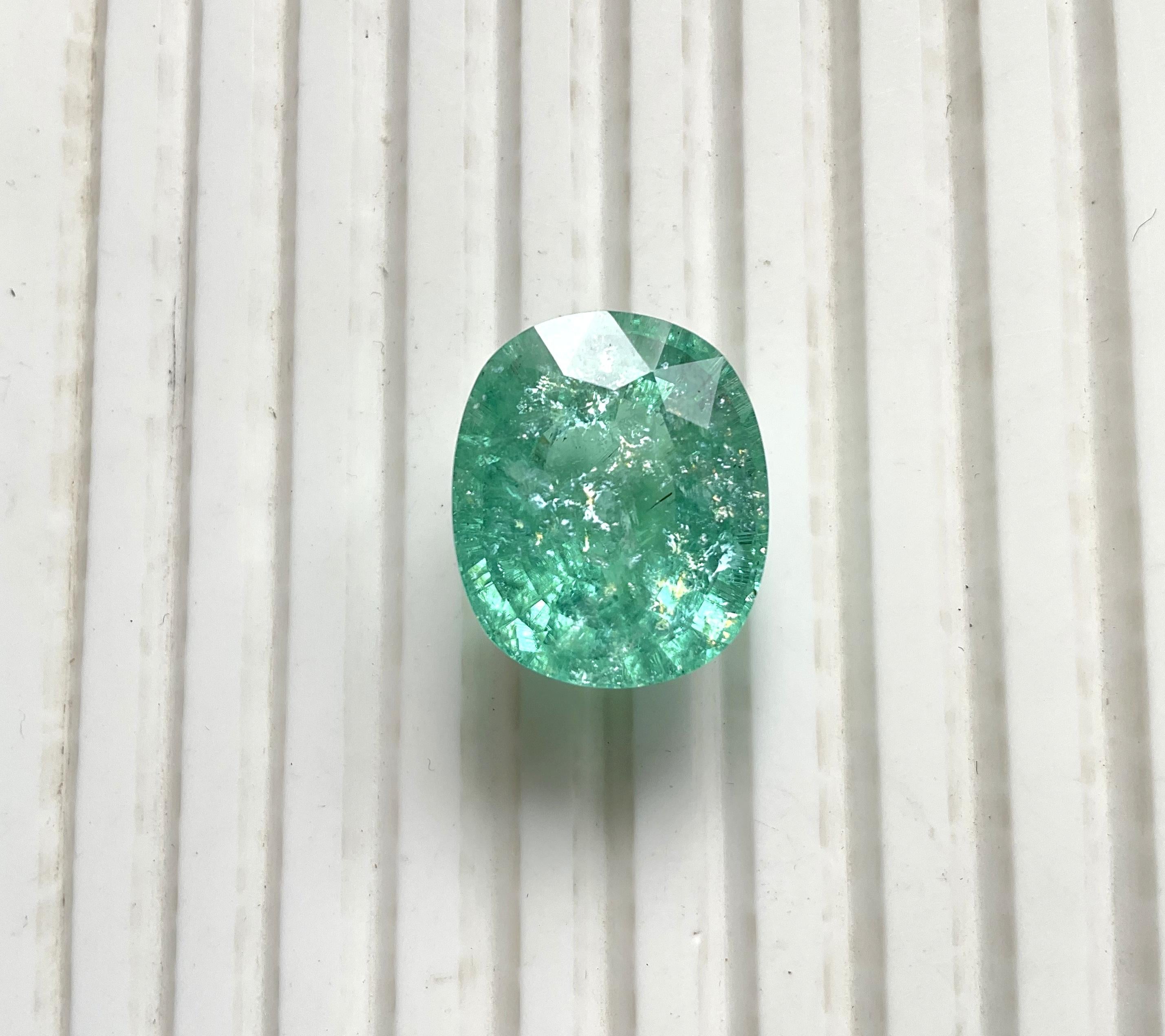 27.08 Carats Green Paraiba Tourmaline Oval Cut Stone Fine Jewelry Natural Gem en vente 1