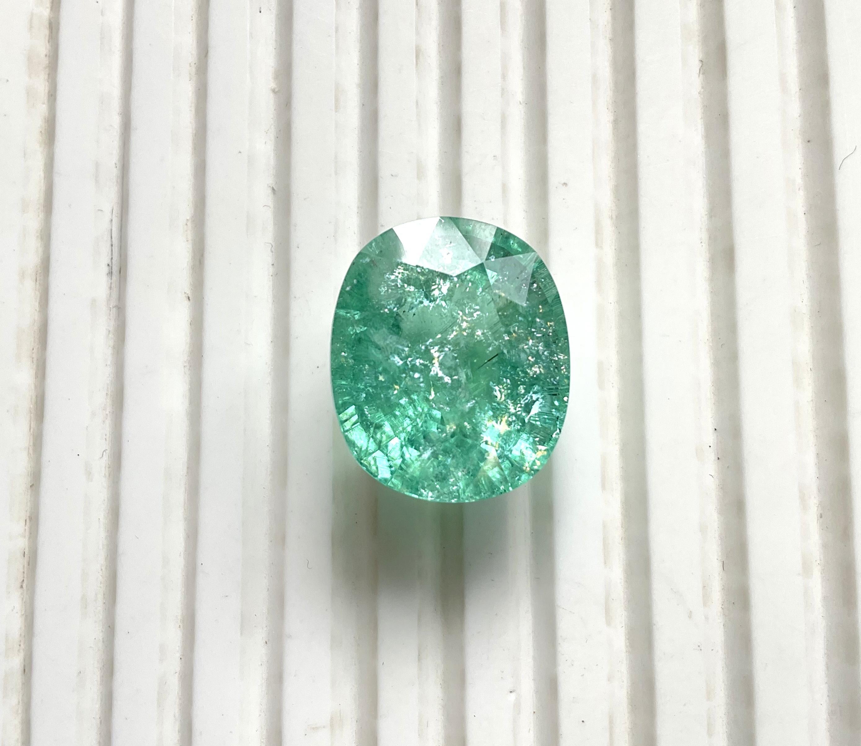 27.08 Carats Green Paraiba Tourmaline Oval Cut Stone Fine Jewelry Natural Gem en vente 2