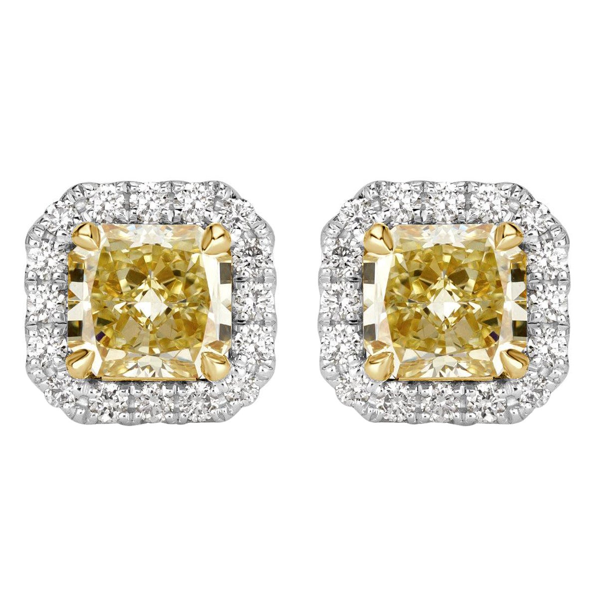 2.70ct Fancy Yellow Radiant Cut Diamond Halo Stud Earrings im Angebot