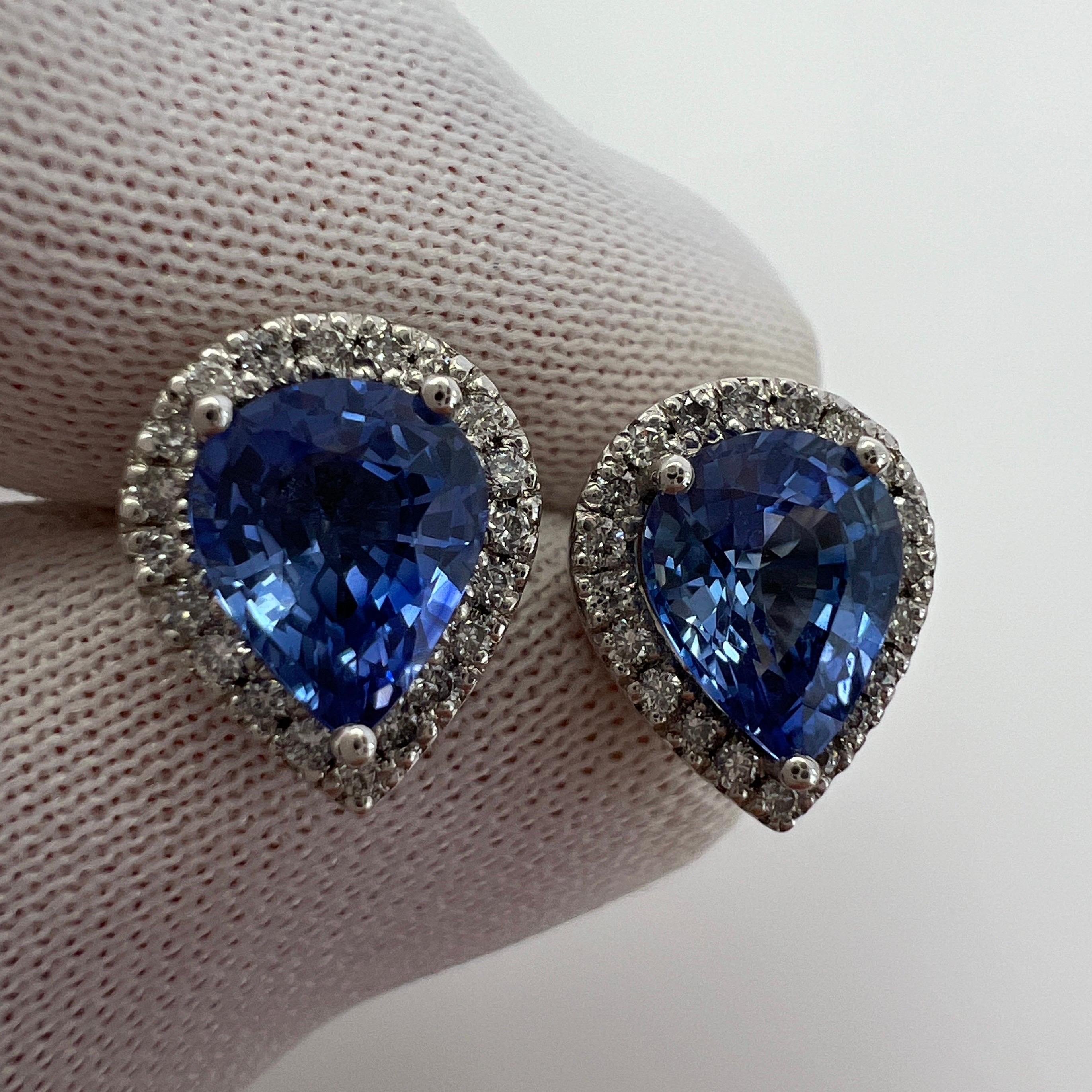 2.70ct Fine Blue Ceylon Sapphire Diamond 18k White Gold Pear Halo Stud Earrings In New Condition For Sale In Birmingham, GB