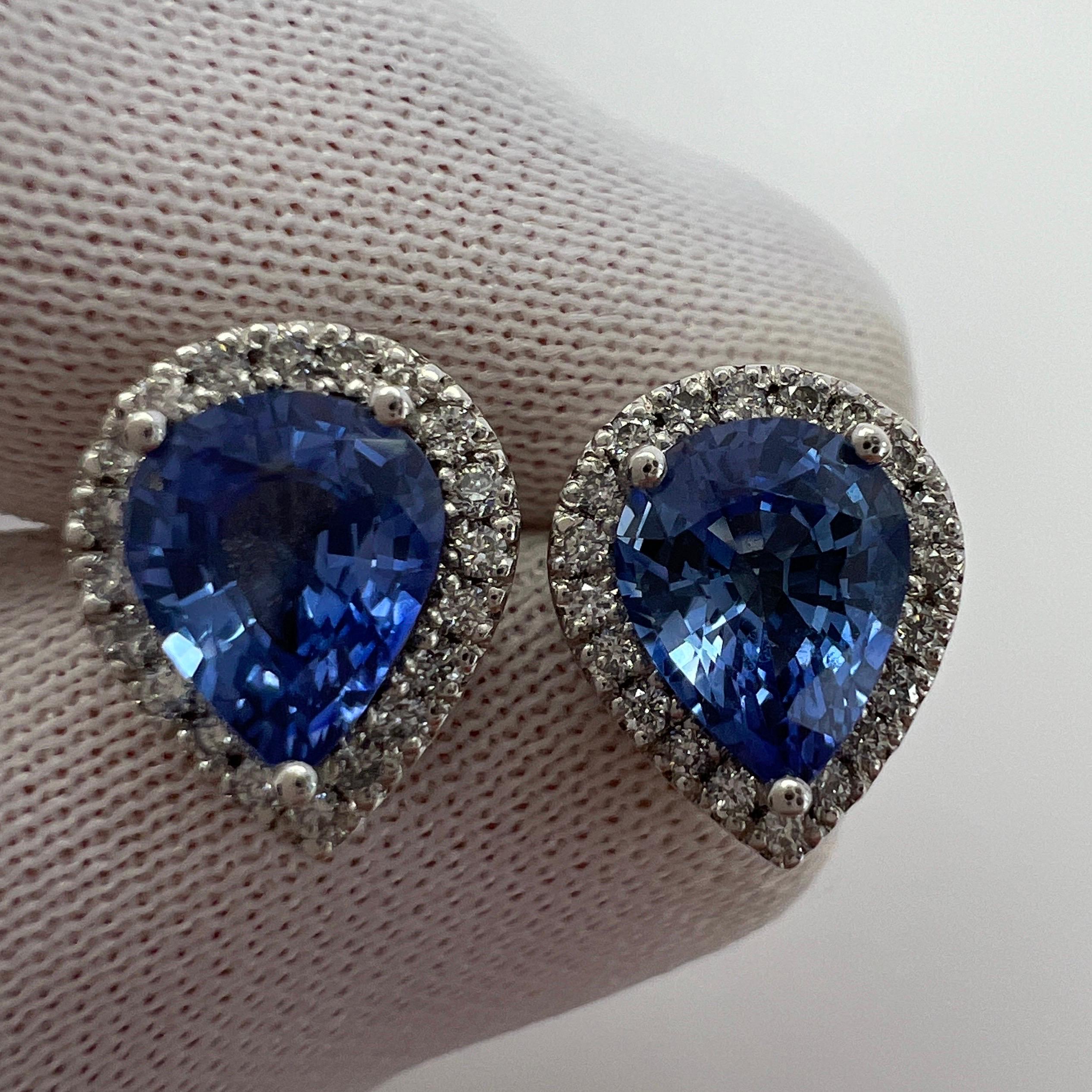 2.70ct Fine Blue Ceylon Sapphire Diamond 18k White Gold Pear Halo Stud Earrings en vente 4