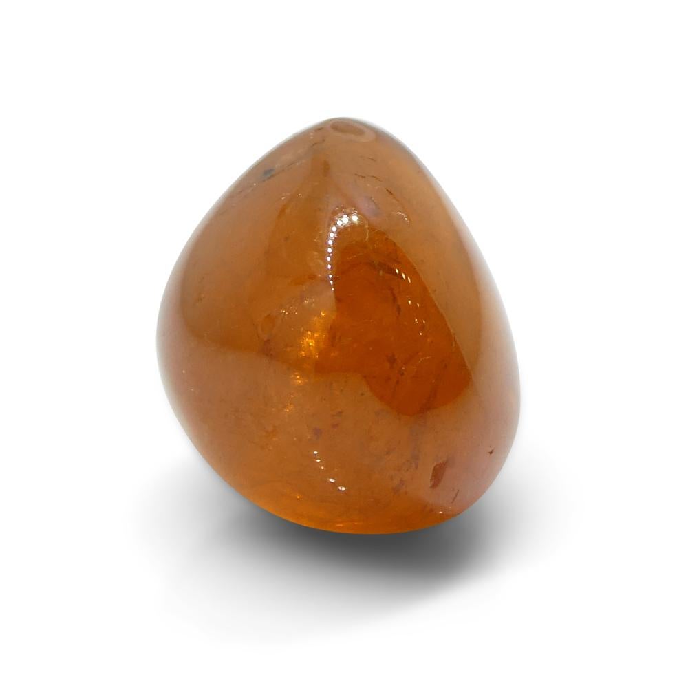 Cabujón ovalado de 27.19 ct Granate naranja mandarina espesartina de Nigeria en venta 8
