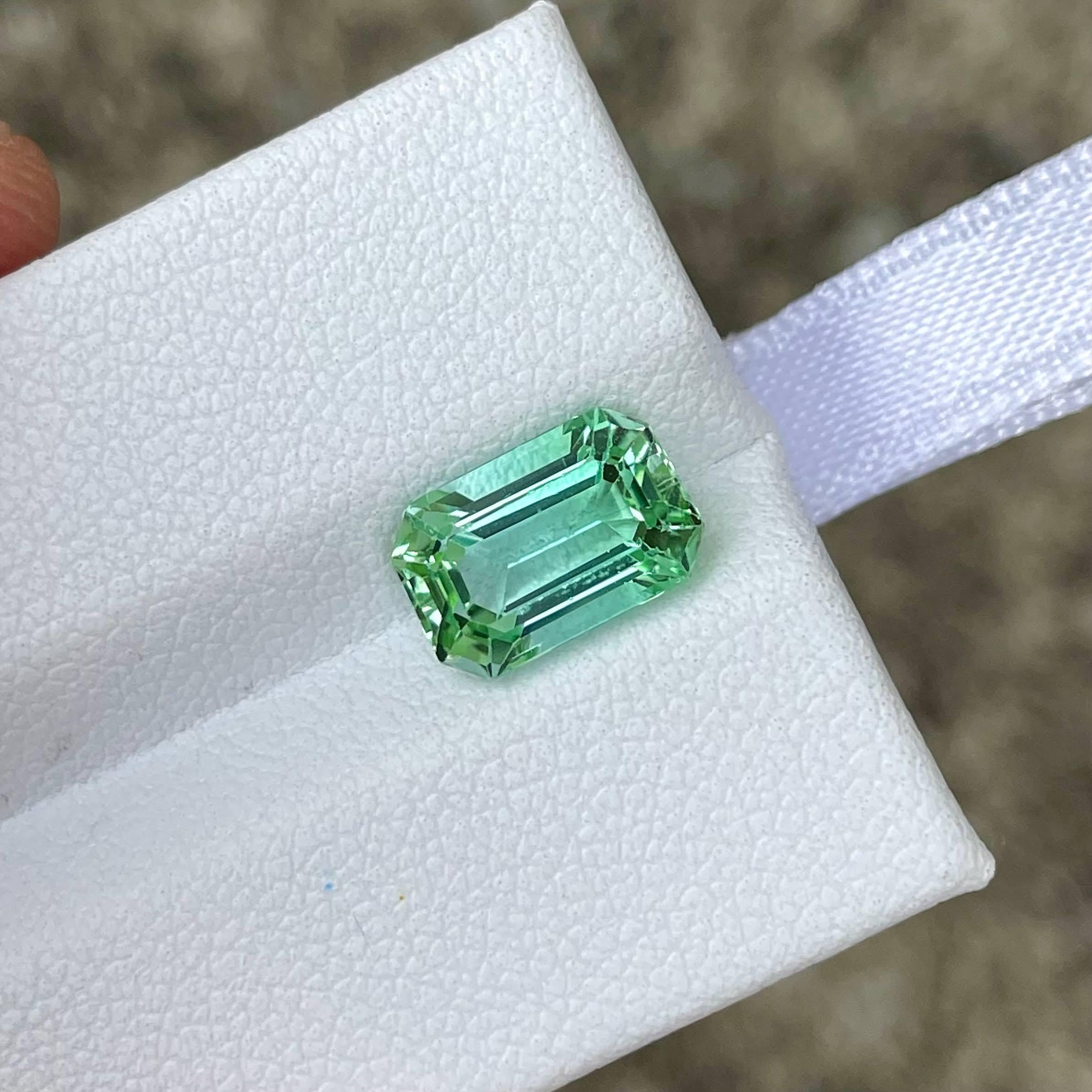 Poids 2,72 carats
Dimensions 9,9x6,5x5,2 mm
Clarity Eye Clean
Origine Afghanistan
Traitement Aucun
Forme Octogone
Taille Step Emerald Cut



La tourmaline vert menthe de 2,72 carats, méticuleusement taillée en forme d'émeraude, est un exemple