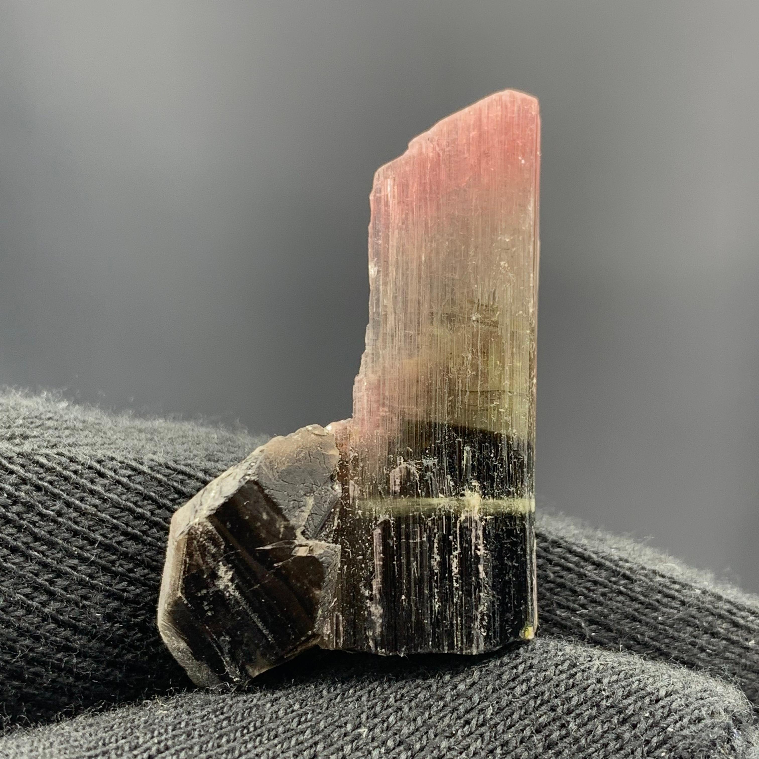 27.25 Carat Magnifique Tri Color Tourmaline Crystal From Afghanistan  For Sale 5
