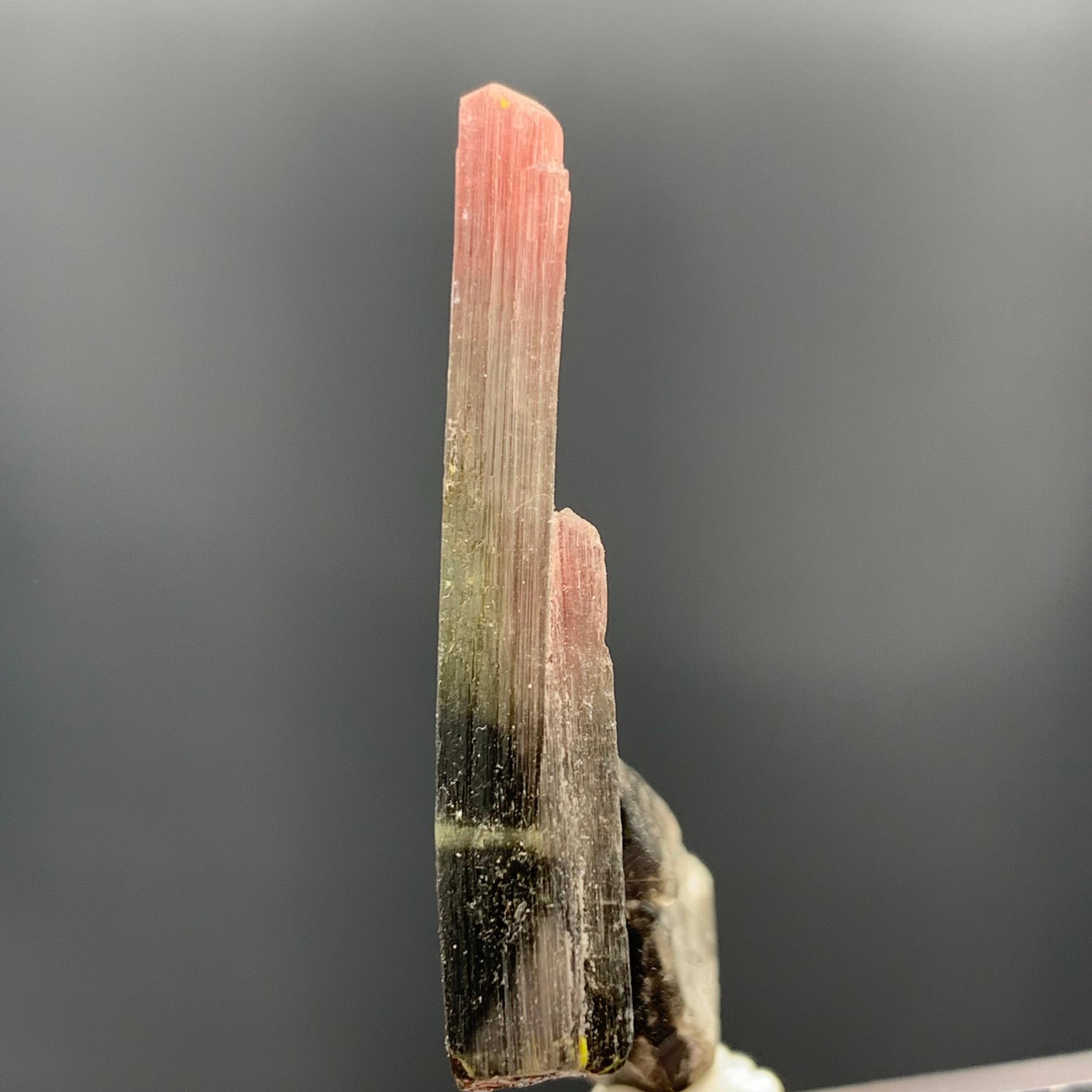 18th Century and Earlier 27.25 Carat Magnifique Tri Color Tourmaline Crystal From Afghanistan  For Sale