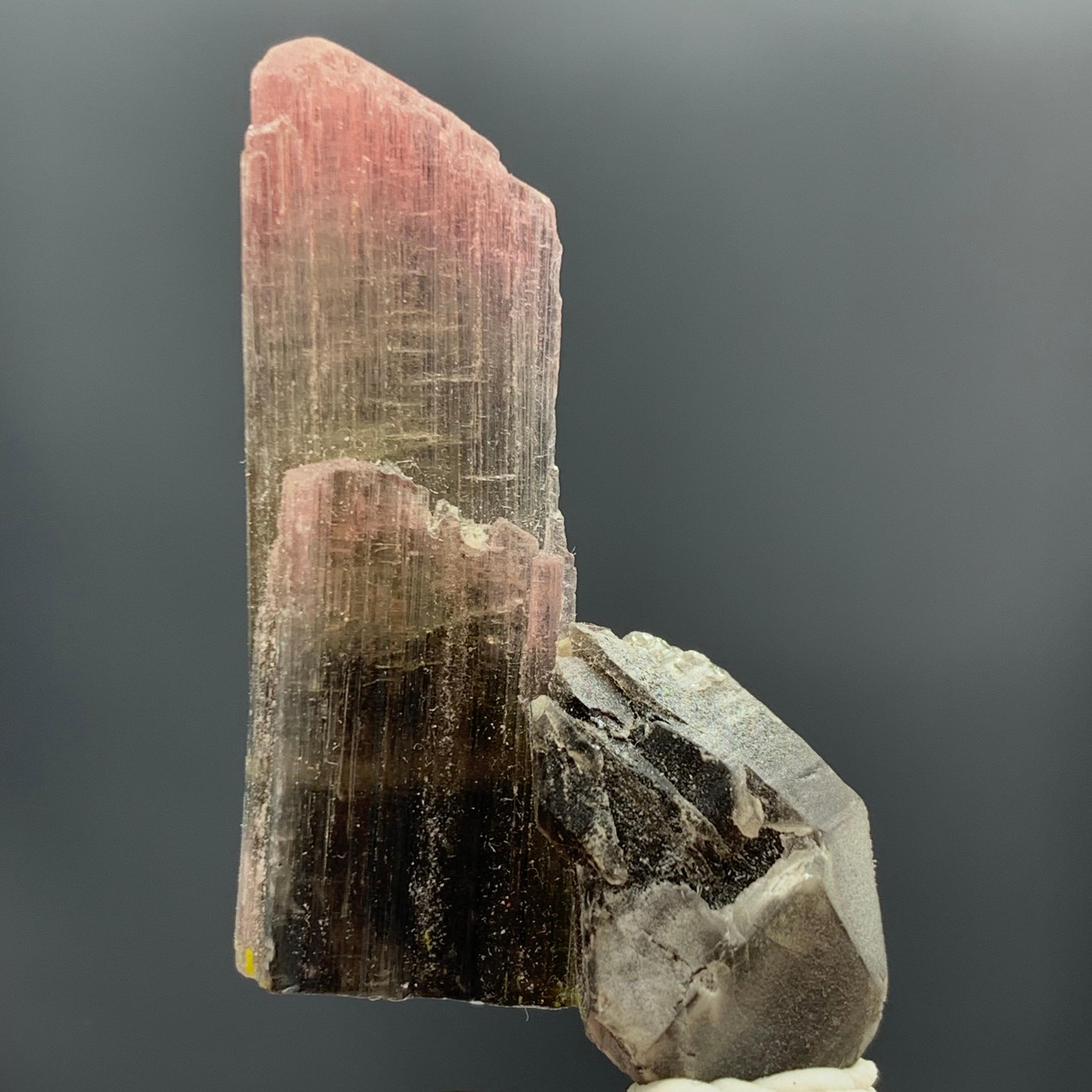 Rock Crystal 27.25 Carat Magnifique Tri Color Tourmaline Crystal From Afghanistan  For Sale