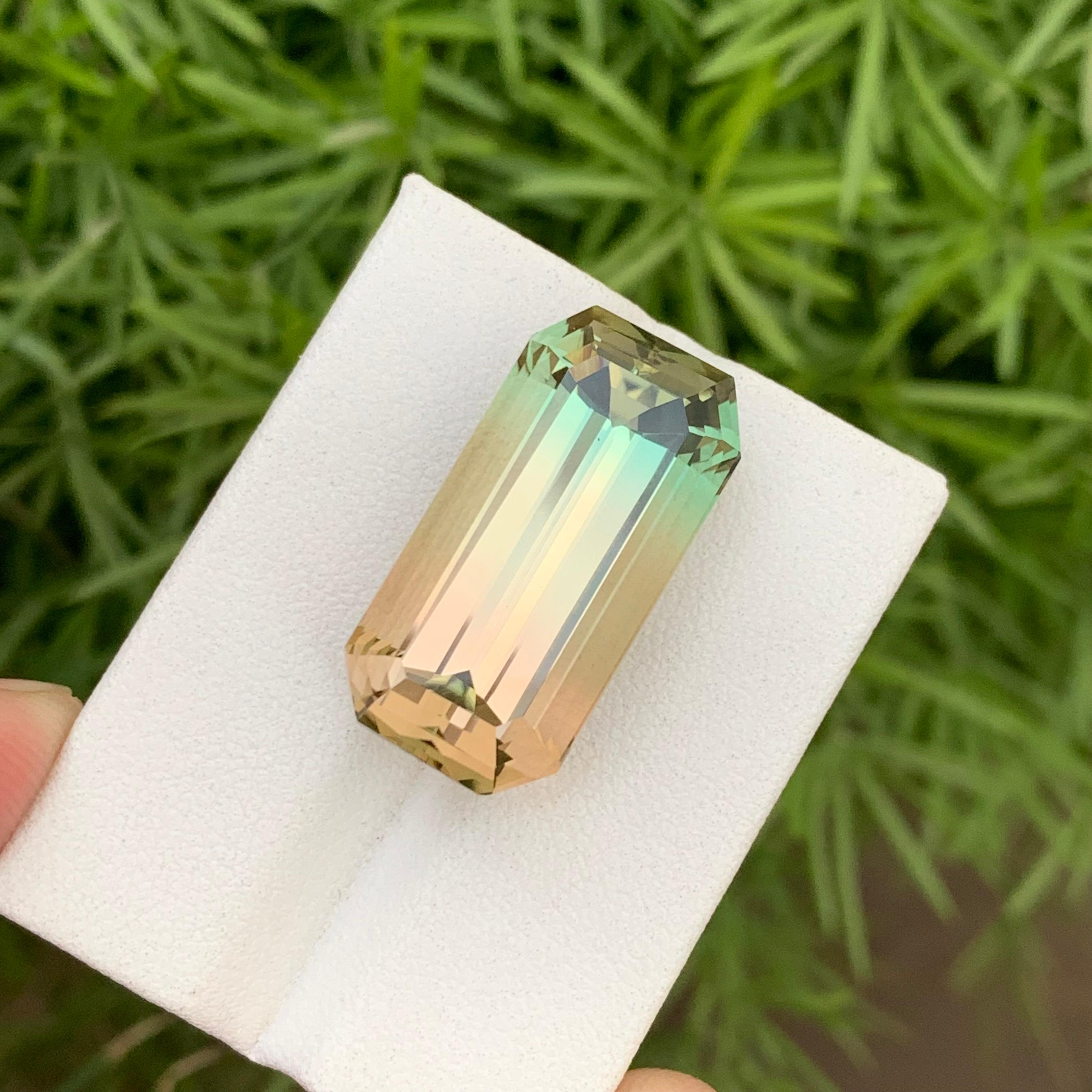 27.35 Carats Natural Loose Bicolor Tourmaline 24 Mm Long For Necklace Jewellery  For Sale 7