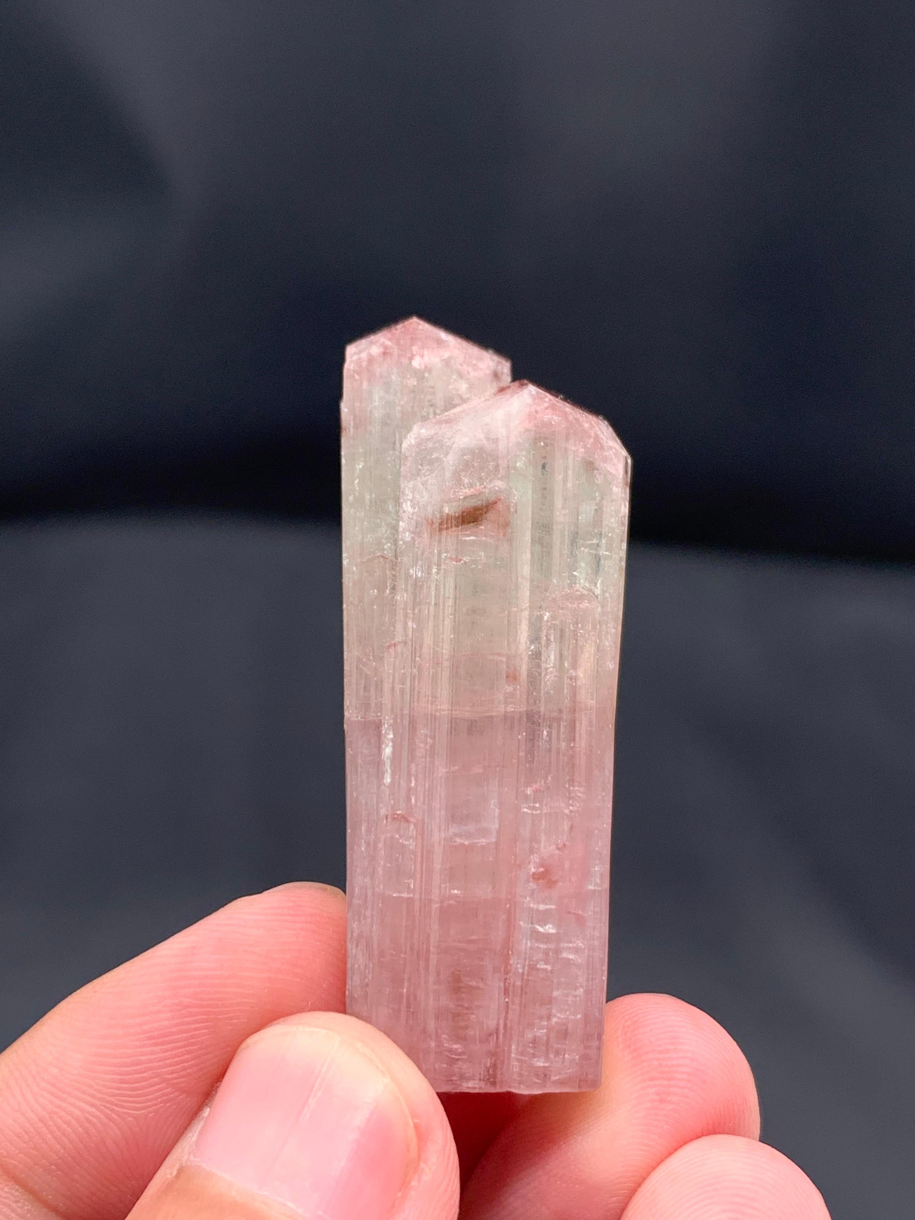 PRODUKTINFORMATION:

Probenart: Doppelt abgeschlossener zweifarbiger Turmalinkristall
Gewicht: 27,44 Gramm
Abmessungen: 4,4 x 1,9 x 1,6 cm
Herkunft: Pachigram Mine, Nuristan Afghanistan
Behandlung: Keine

BESCHREIBUNG:

Der hier vorgestellte 27,44