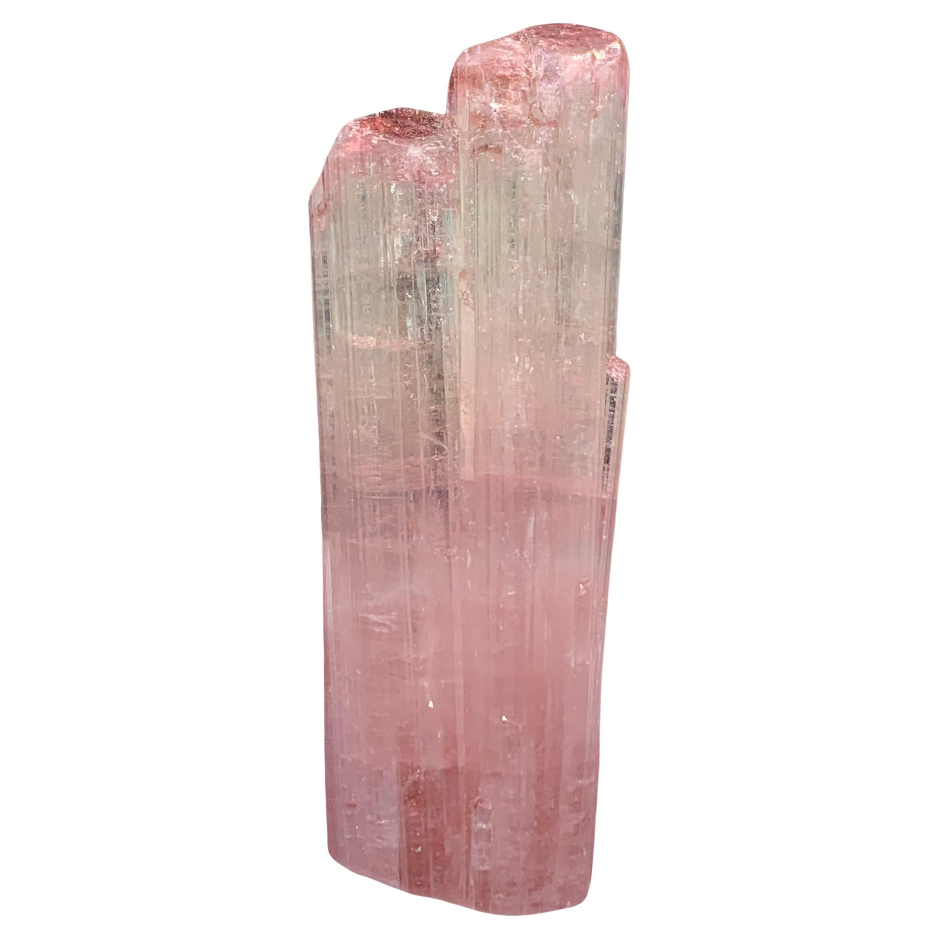 27.44 Grammes Cristal de Tourmaline Bicolore Naturelle à Double Terminaison