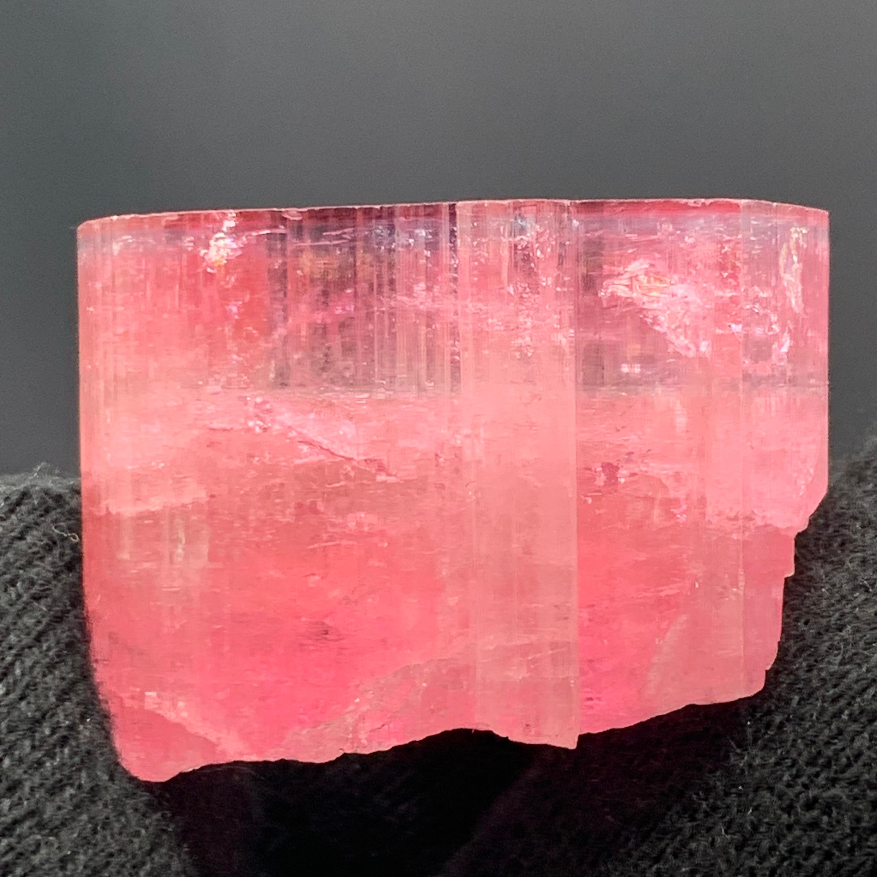27,60 Gramm Marvellous Blue Cap Rubellite Turmalin Kristall aus Afghanistan im Angebot 3
