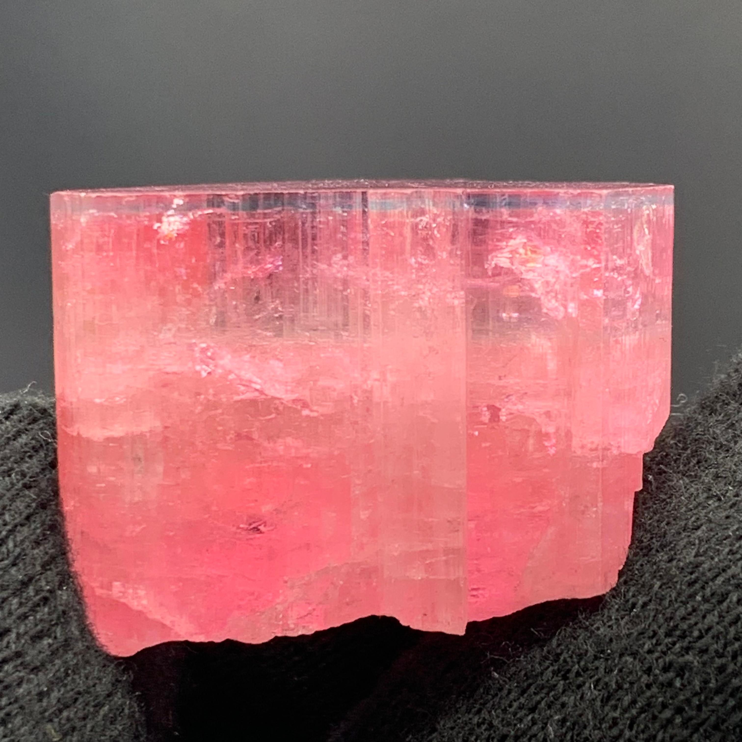 27,60 Gramm Marvellous Blue Cap Rubellite Turmalin Kristall aus Afghanistan im Angebot 4
