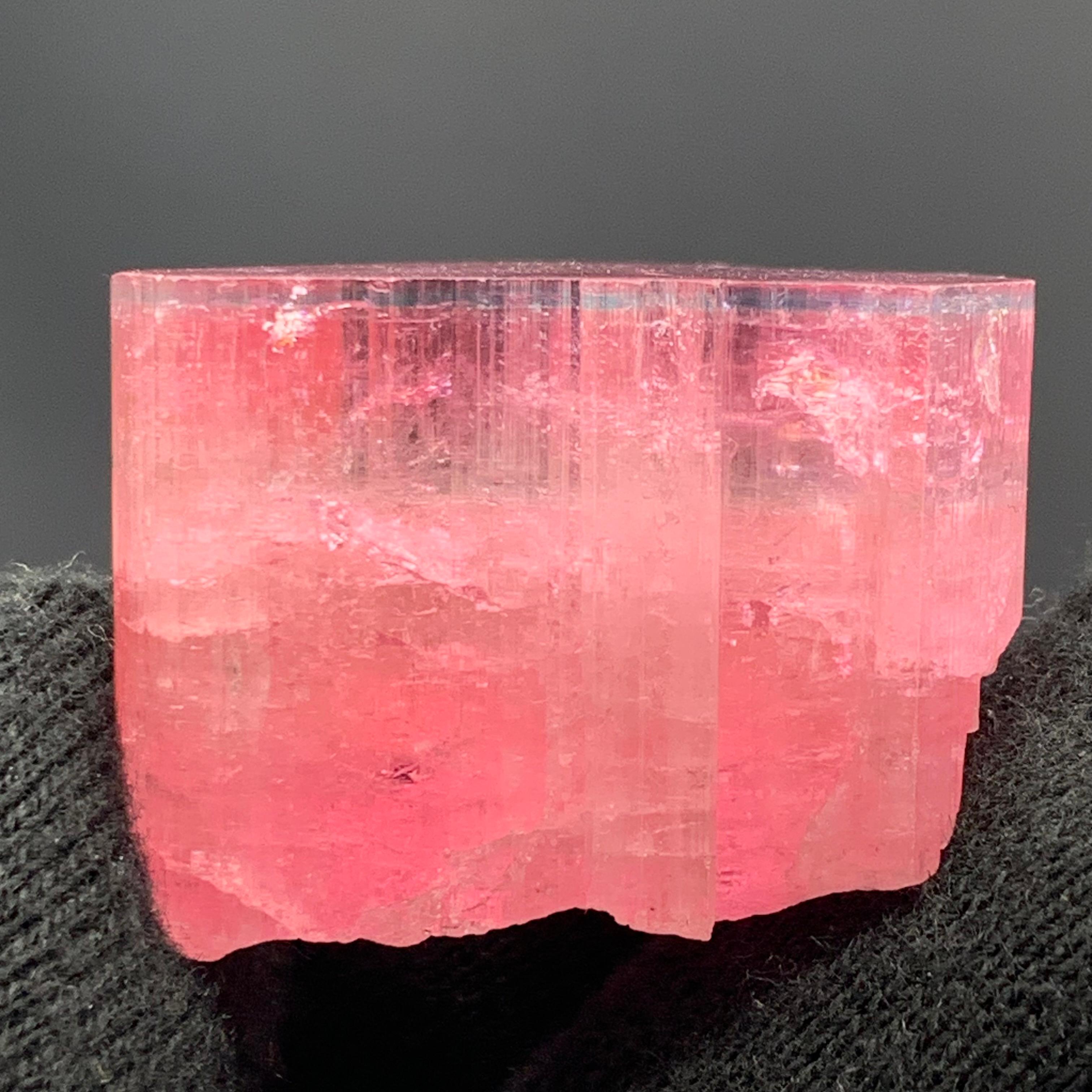 27,60 Gramm Marvellous Blue Cap Rubellite Turmalin Kristall aus Afghanistan im Angebot 5
