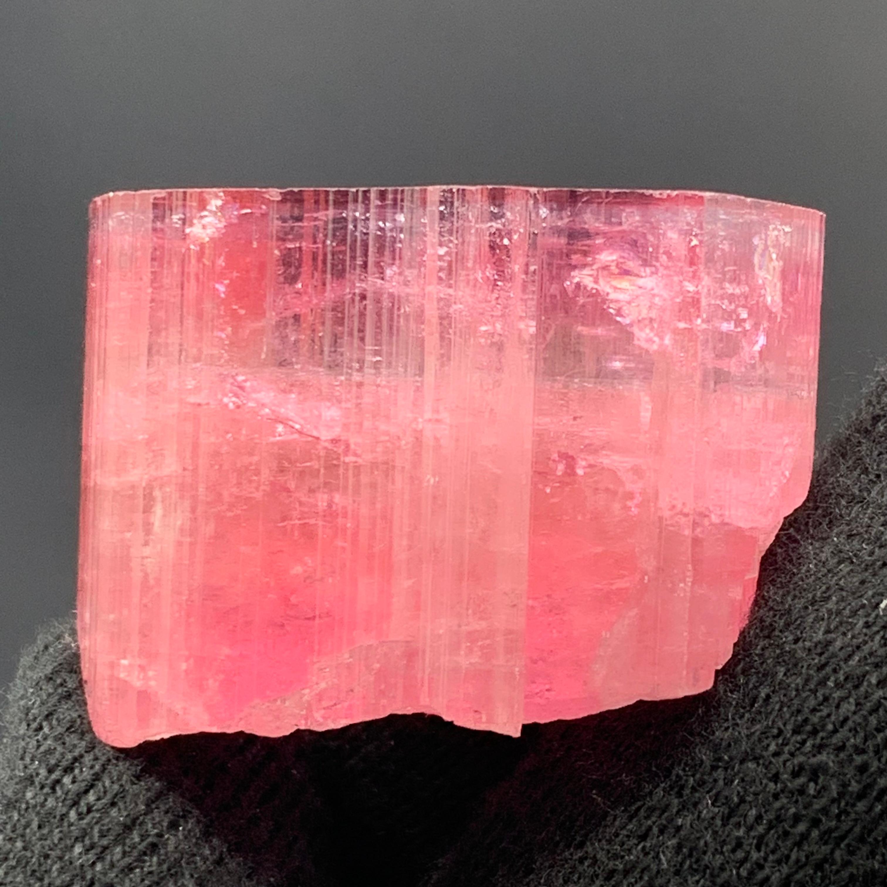 27,60 Gramm Marvellous Blue Cap Rubellite Turmalin Kristall aus Afghanistan im Angebot 6