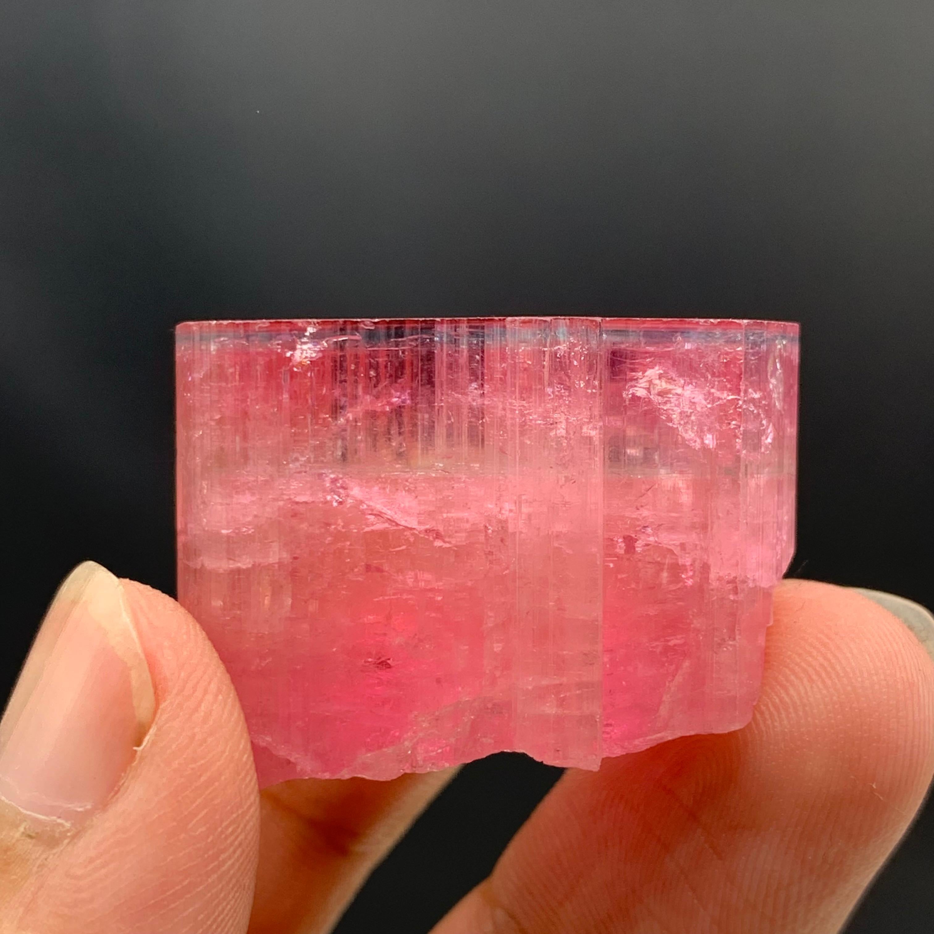 27,60 Gramm Marvellous Blue Cap Rubellite Turmalin Kristall aus Afghanistan im Angebot 7