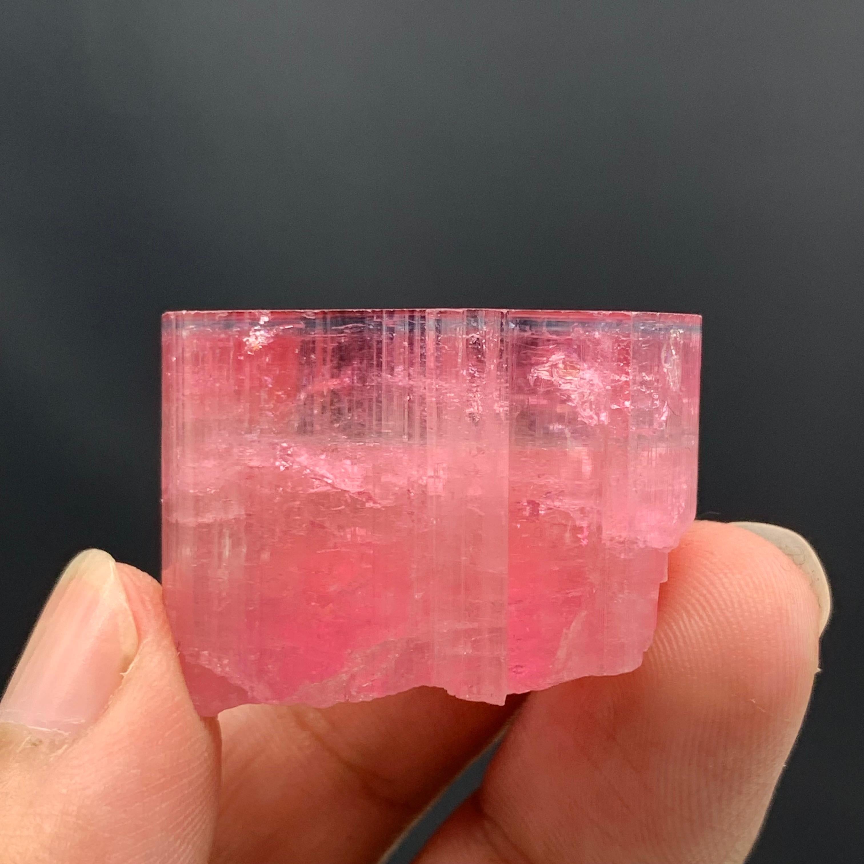 27.60 Grammes Merveilleux Cristal de Tourmaline Rubellite Cap Bleu d'Afghanistan  en vente 8