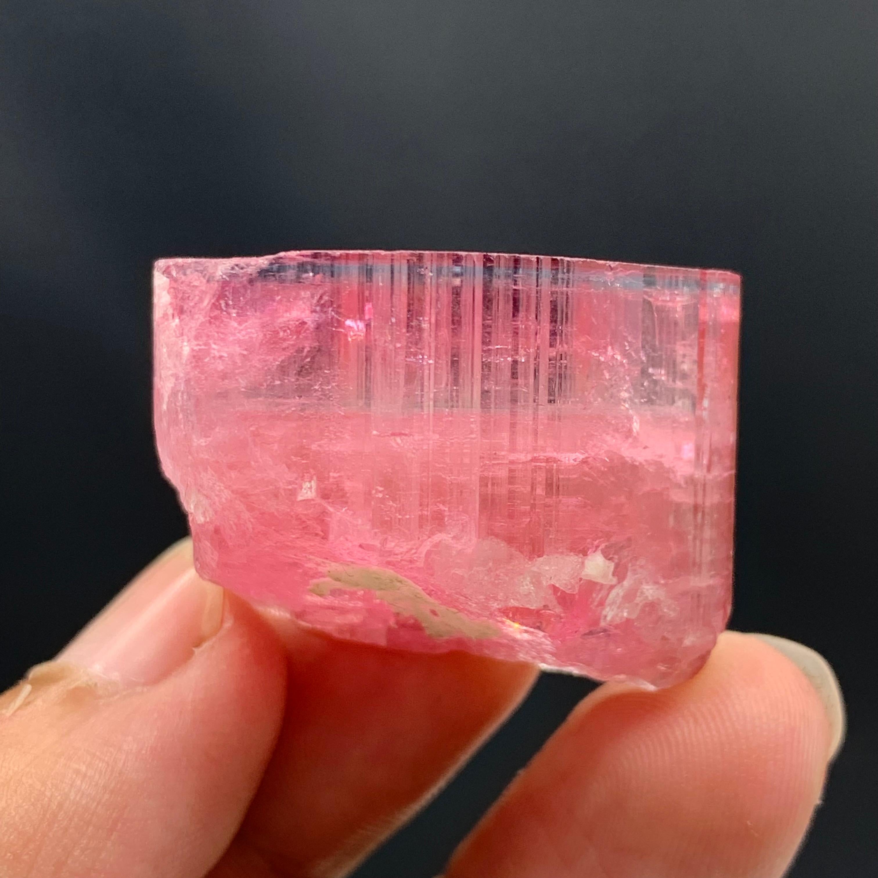27,60 Gramm Marvellous Blue Cap Rubellite Turmalin Kristall aus Afghanistan im Angebot 9