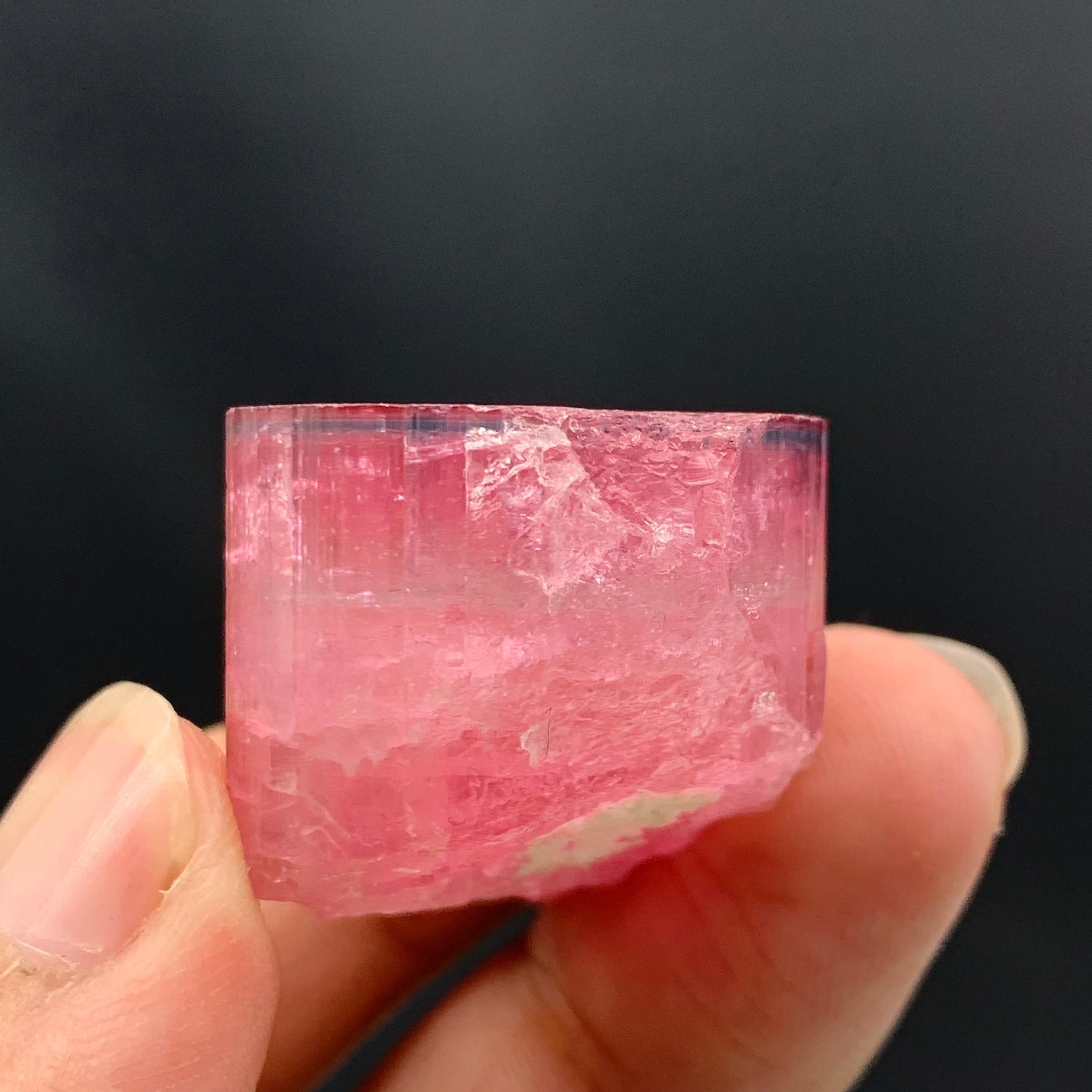 27,60 Gramm Marvellous Blue Cap Rubellite Turmalin Kristall aus Afghanistan im Angebot 10