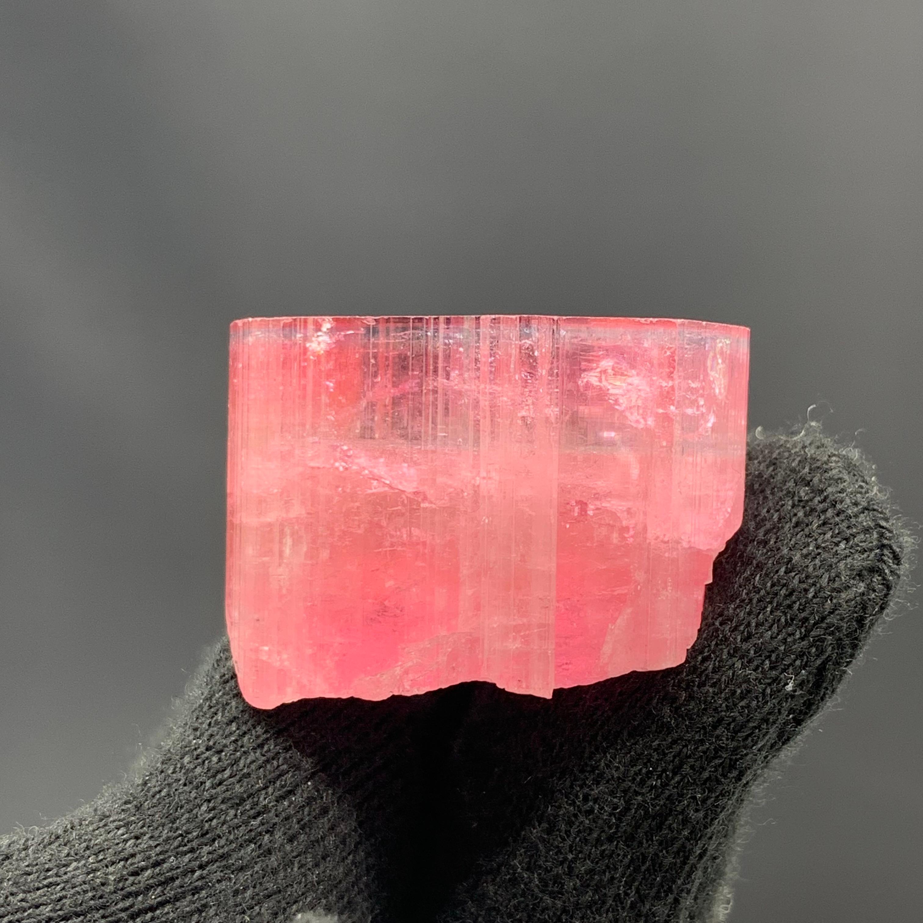 27,60 Gramm Marvellous Blue Cap Rubellite Turmalin Kristall aus Afghanistan 

Gewicht: 27,60 Gramm
Abmessung: 2.3 x 3.1 x 2.1 Cm 
Herkunft: Paprok, Provinz Nooristan, Afghanistan 

Der Rubellit soll mit dem Herzchakra und dem Wurzelchakra in