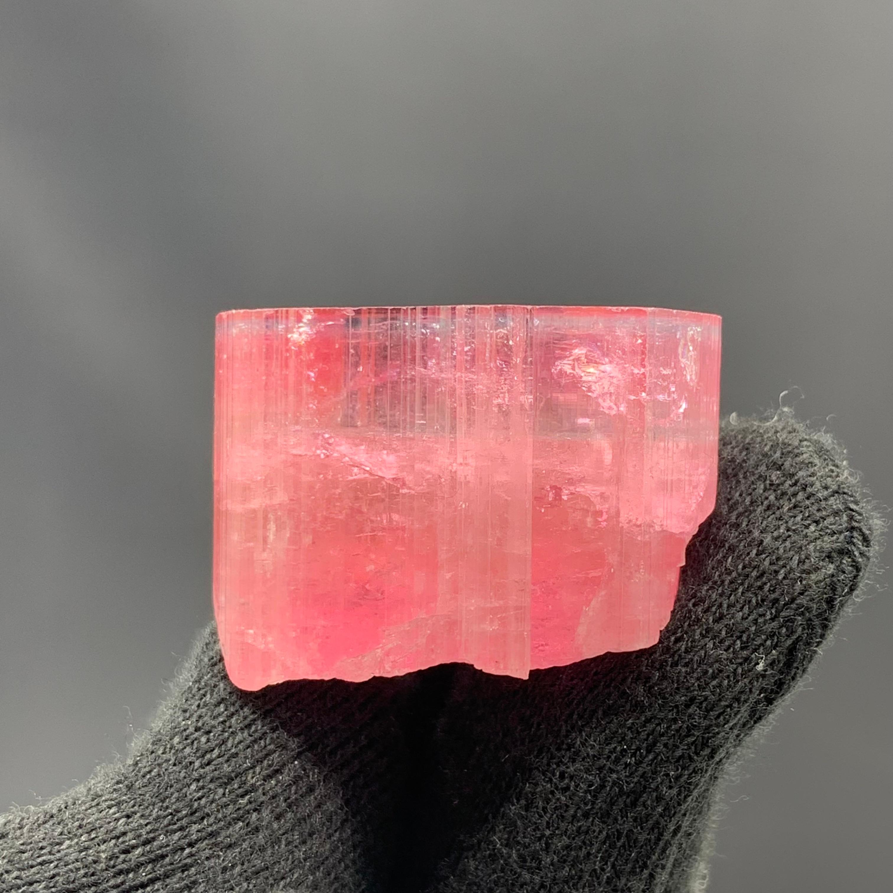 27,60 Gramm Marvellous Blue Cap Rubellite Turmalin Kristall aus Afghanistan (Adamstil) im Angebot