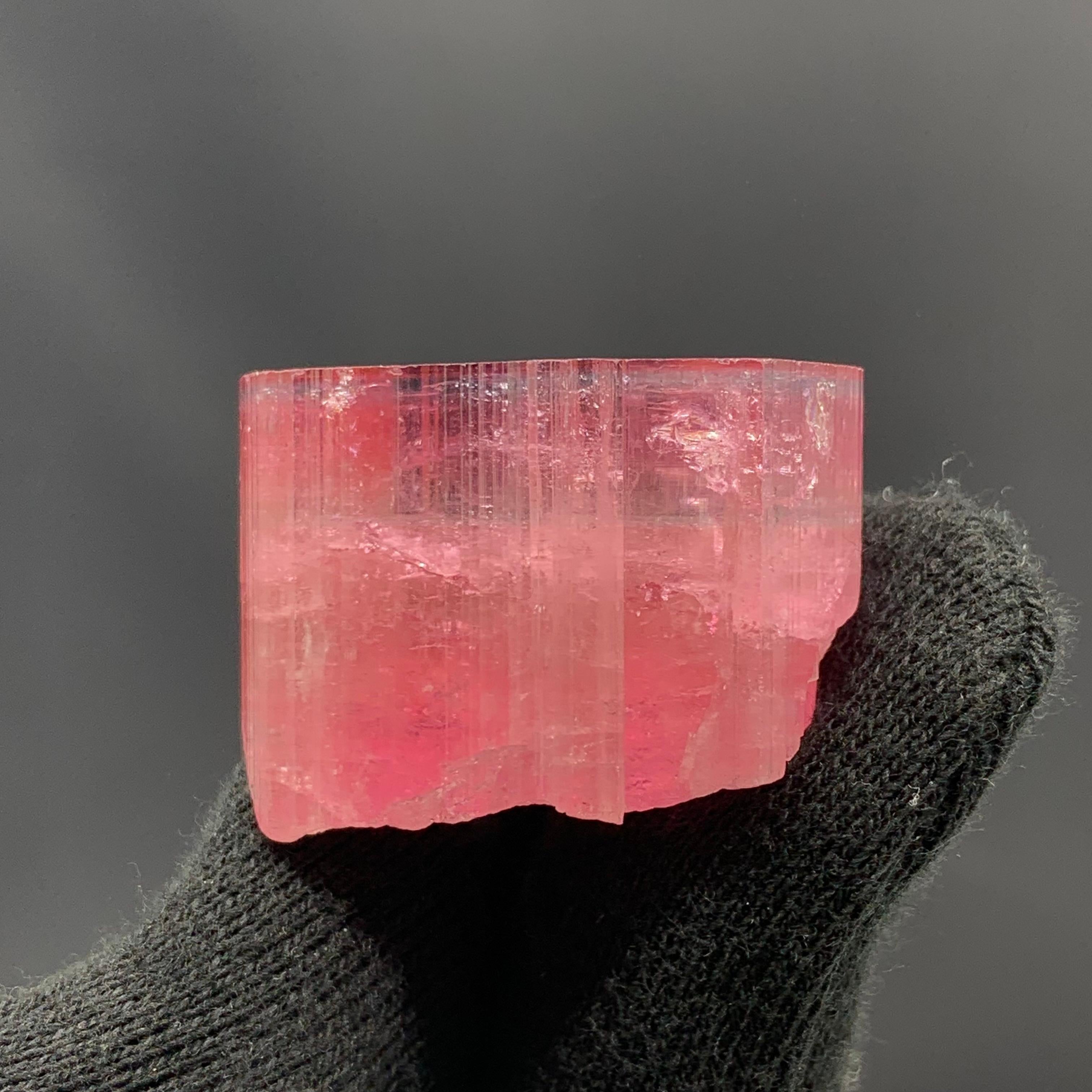 27,60 Gramm Marvellous Blue Cap Rubellite Turmalin Kristall aus Afghanistan (Sonstiges) im Angebot
