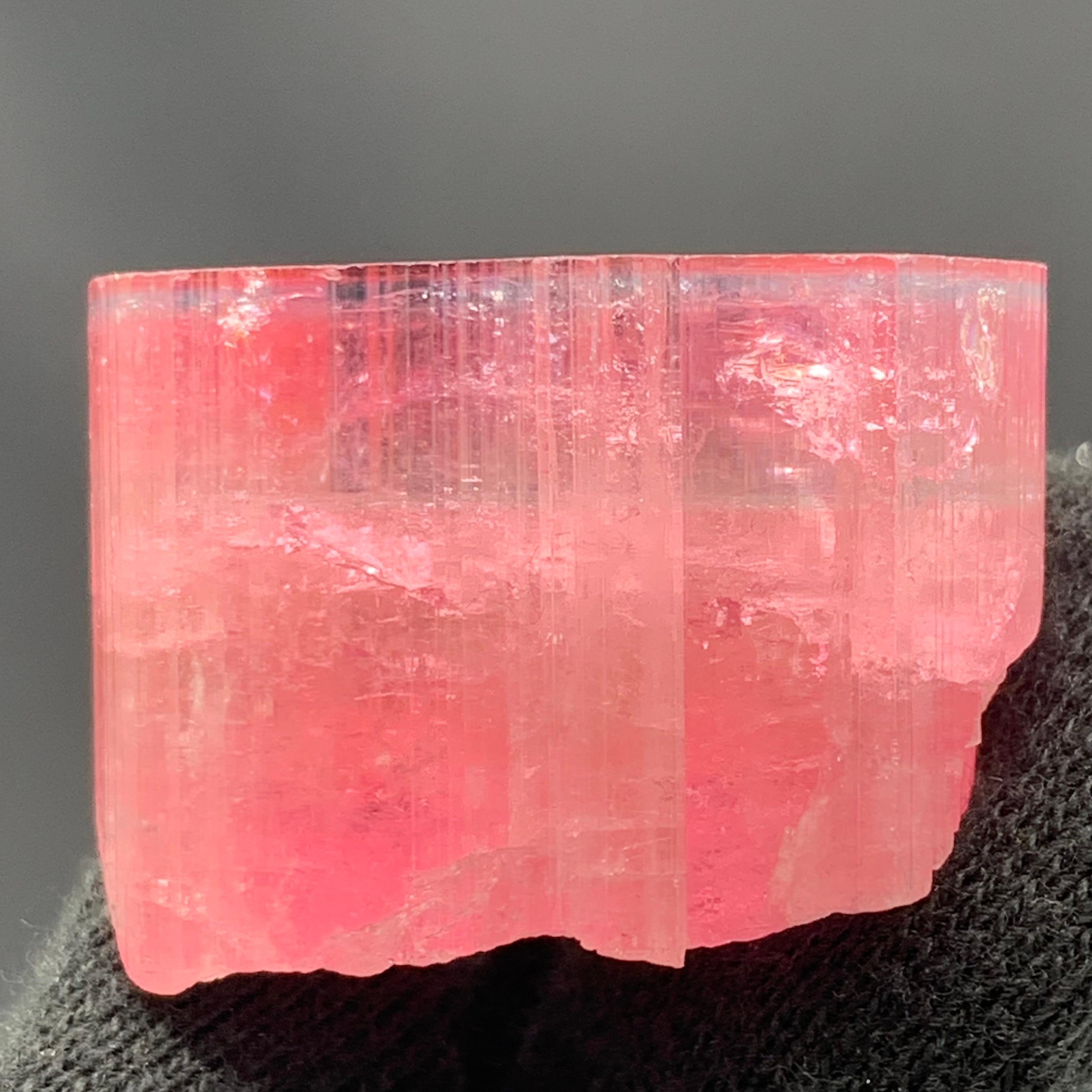 27,60 Gramm Marvellous Blue Cap Rubellite Turmalin Kristall aus Afghanistan im Zustand „Gut“ im Angebot in Peshawar, PK