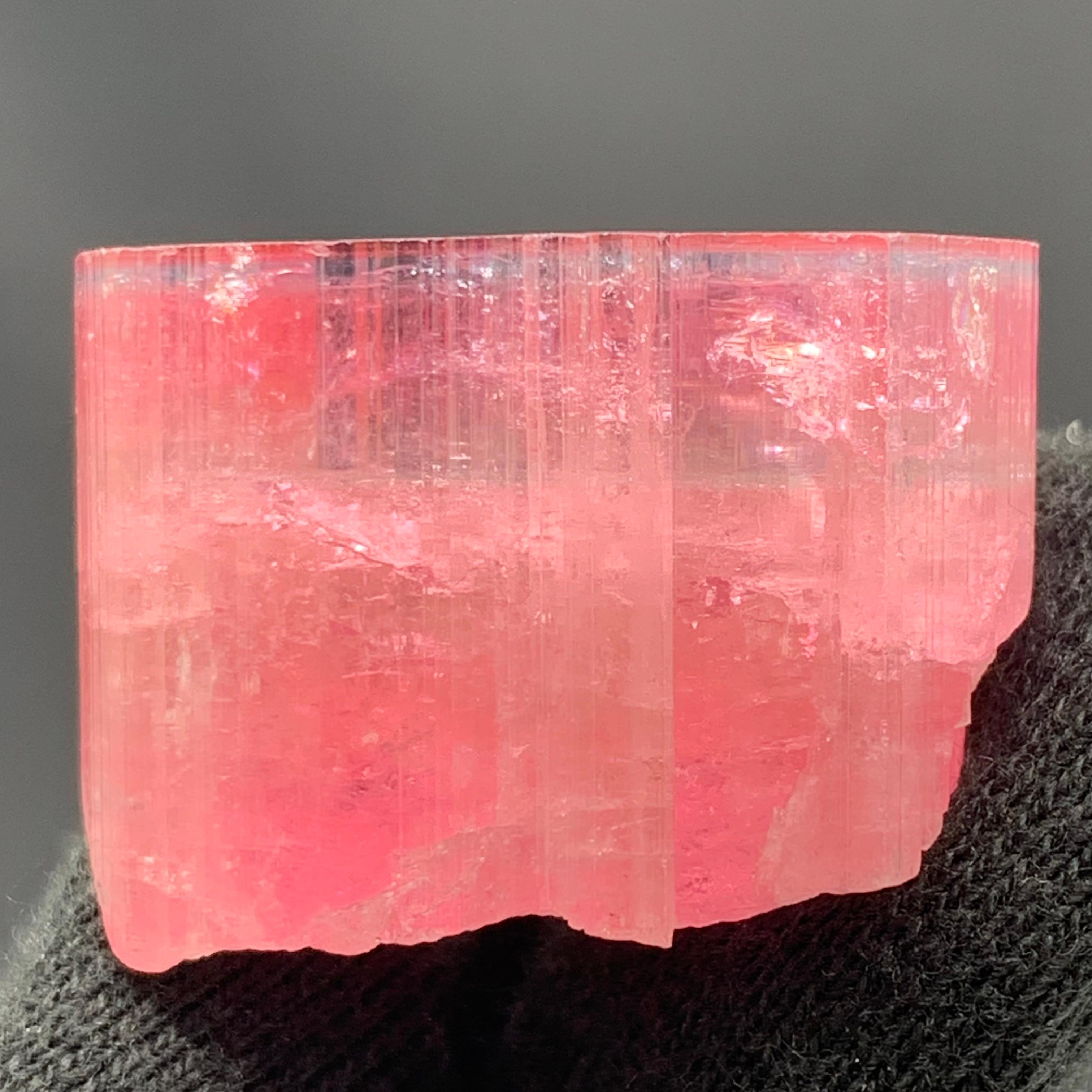 27,60 Gramm Marvellous Blue Cap Rubellite Turmalin Kristall aus Afghanistan (18. Jahrhundert und früher) im Angebot