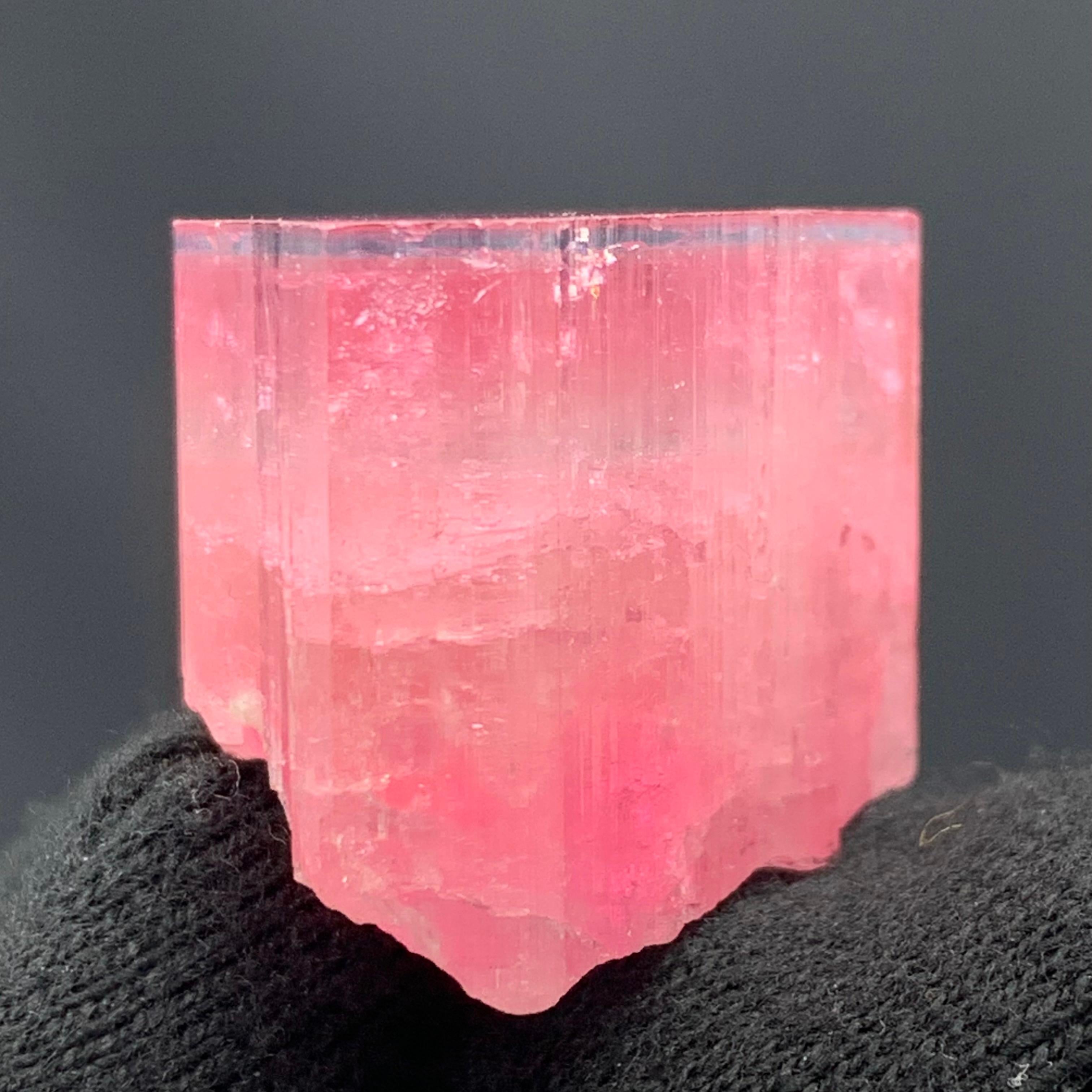 Cristal de roche 27.60 Grammes Merveilleux Cristal de Tourmaline Rubellite Cap Bleu d'Afghanistan  en vente