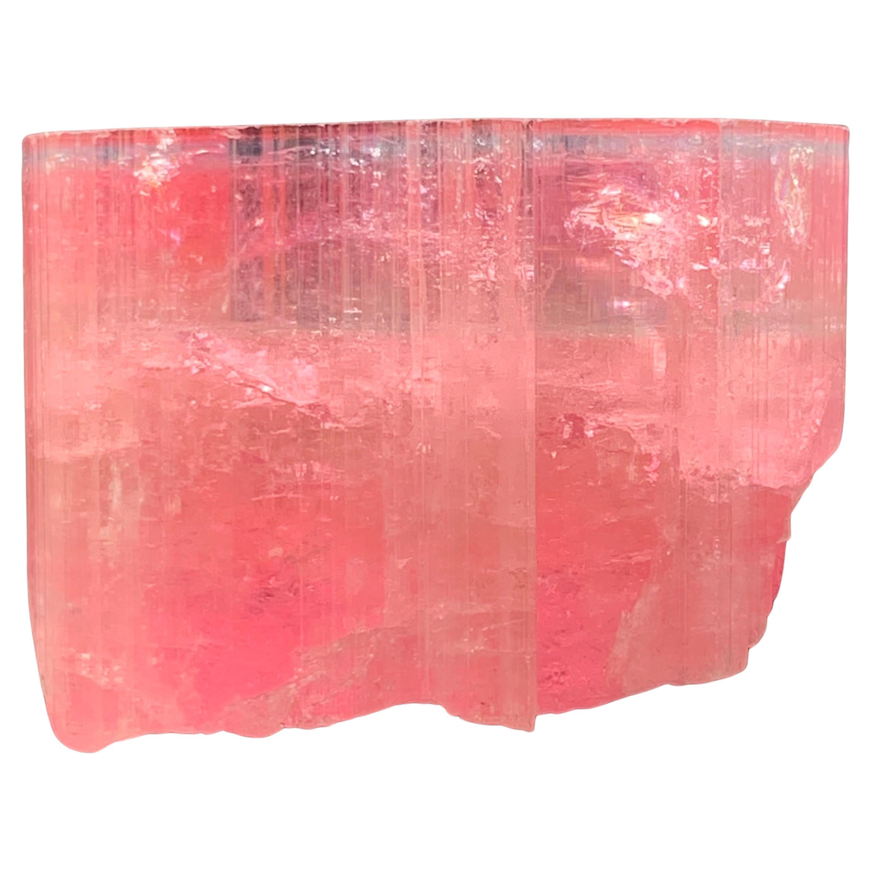 27,60 Gramm Marvellous Blue Cap Rubellite Turmalin Kristall aus Afghanistan im Angebot