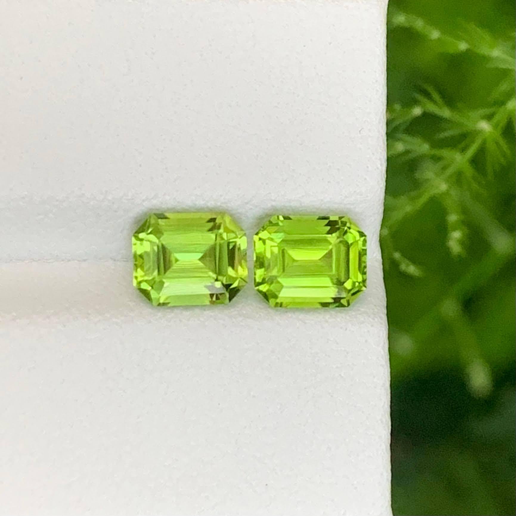 Poids 2,80 carats
Dimensions 7.0x5.6x4.3mm
Traitement Aucun 
Origine : Pakistan 
Clarté VVS 
Forme Coupe Émeraude 





Cette exquise paire de péridots verts en vrac de 2,80 carats naturels présente une teinte verte vive et rafraîchissante qui