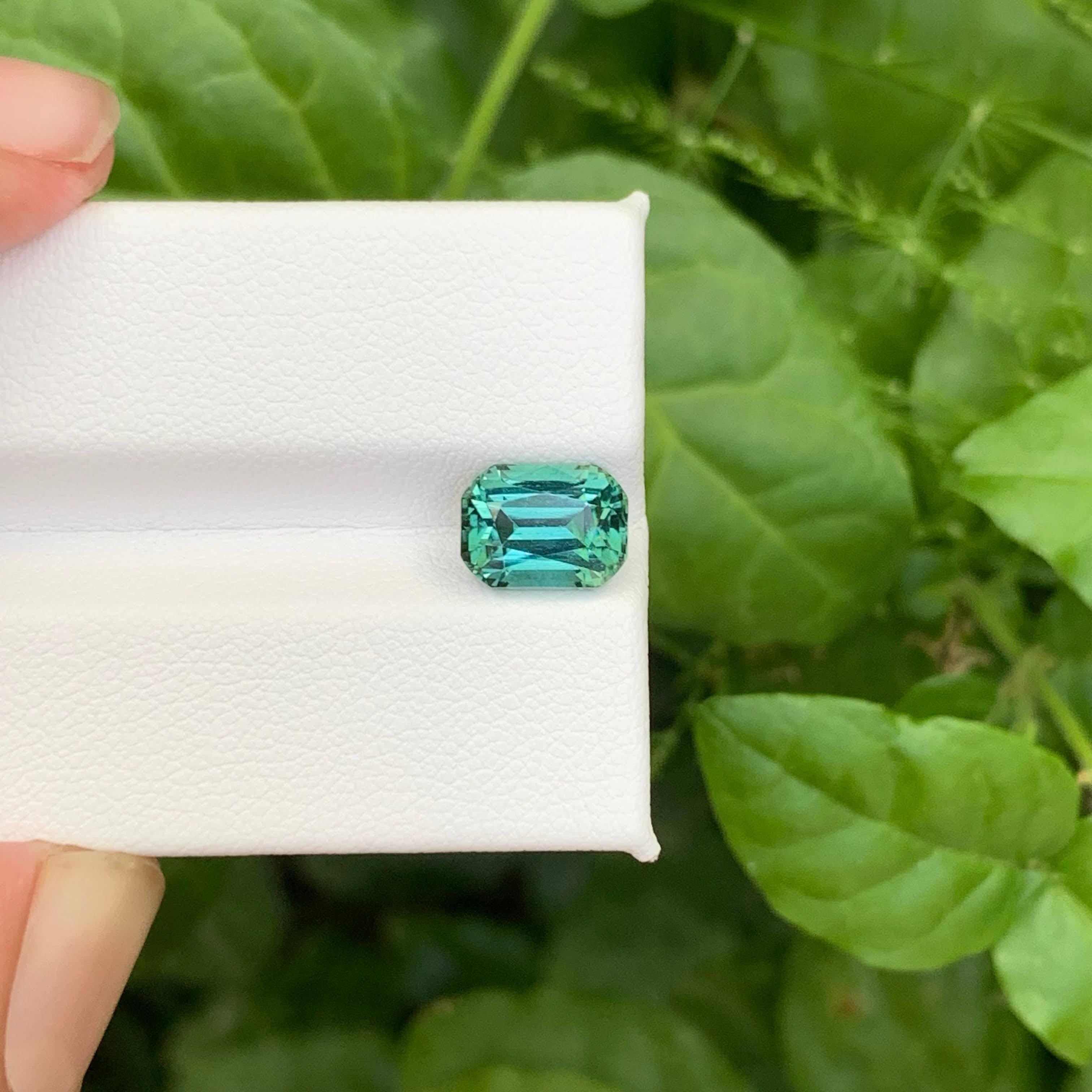 2.80 Carat Nature Loose Lagoon Tourmaline Stone Cushion Cut Afghan Gemstone (pierre précieuse afghane) en vente 3