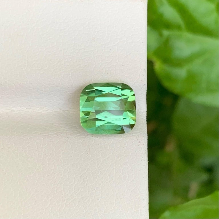 Tourmaline Bicolore Naturelle Certifiée - Origine Afghanistan - 0,59 Carats - Neuf Avec Certificat