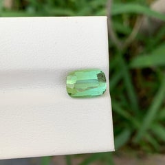 2.80 Carat Natural Loose Light Green Tourmaline Cushion Shape Gem For Jewellery