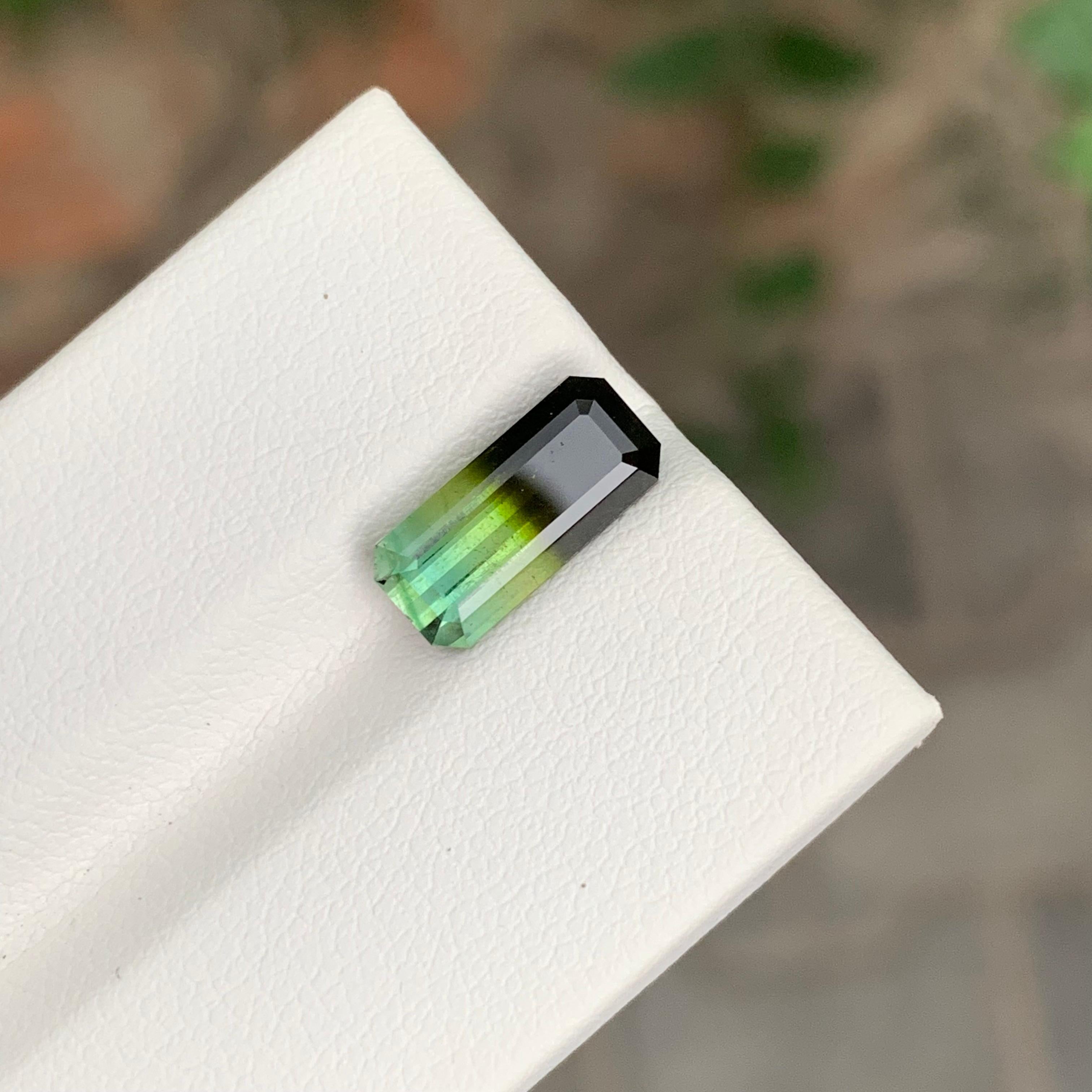 Tourmaline tricolore facettée

Poids : 2,80 carats
Dimension : 11,9 x 5,5 x 4,8 mm
Coloris : noir, vert menthe et mousse de mer 
Traitement : Non
Certificat : Sur demande du client
Forme : Émeraude 


La tourmaline est une pierre précieuse