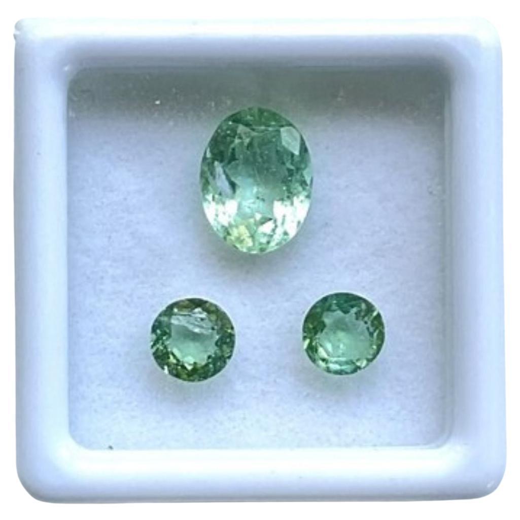 2.80 Carats Green Tourmaline Match Pair, Green Tourmaline Round and Oval Gems For Sale