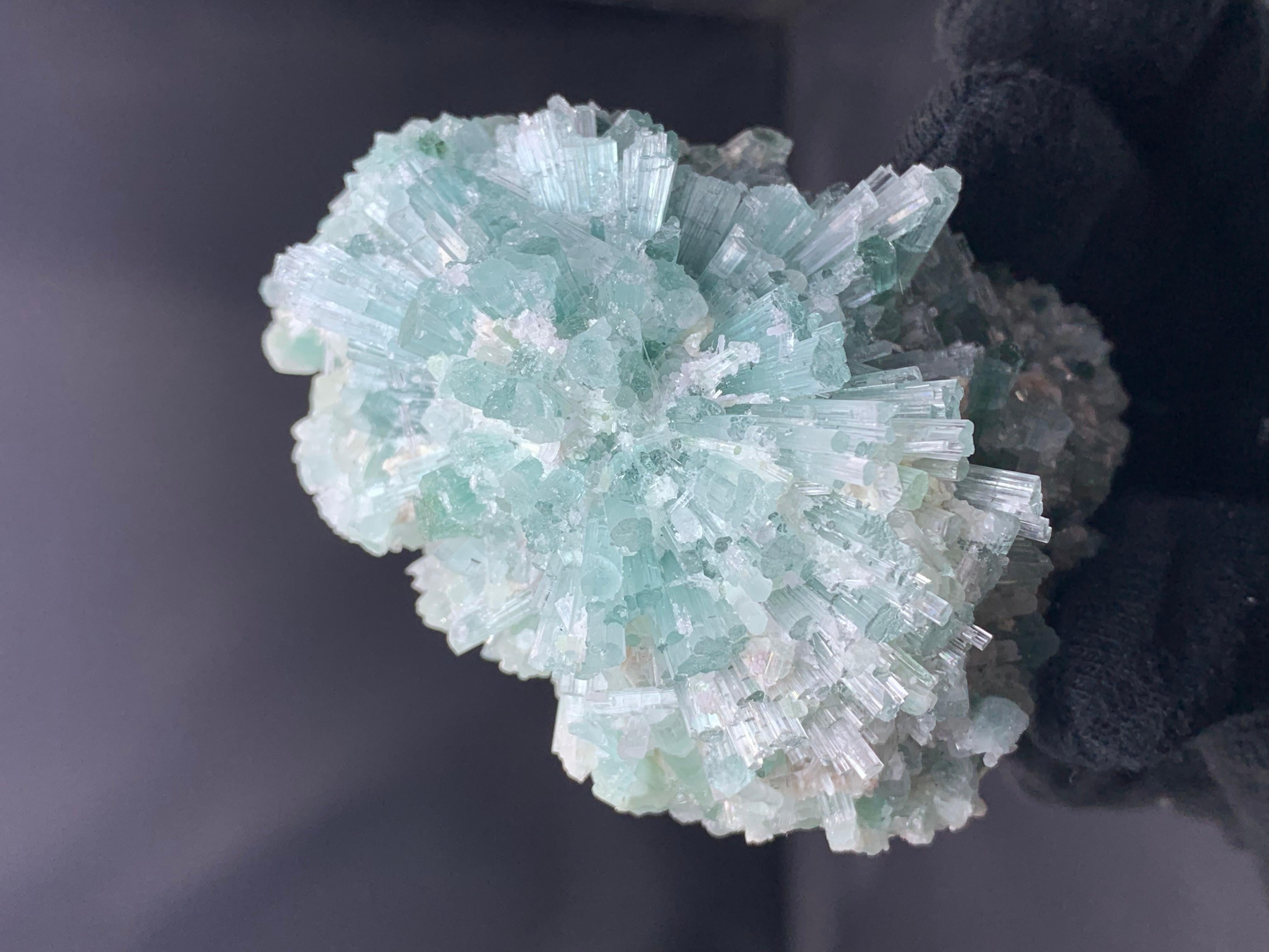 INFORMAZIONI SULLA PRODUZIONE:

Tipo di esemplare: Magnifico esemplare di tormalina blu mare
Peso: 281 grammi
Dimensioni: 6,7 x 8,5 x 6 cm
Origine: Dara  Pech, Chappa Dara, provincia di Kunar, Afghanistan 
Trattamento: Nessuno

DESCRIZIONE:

Questo